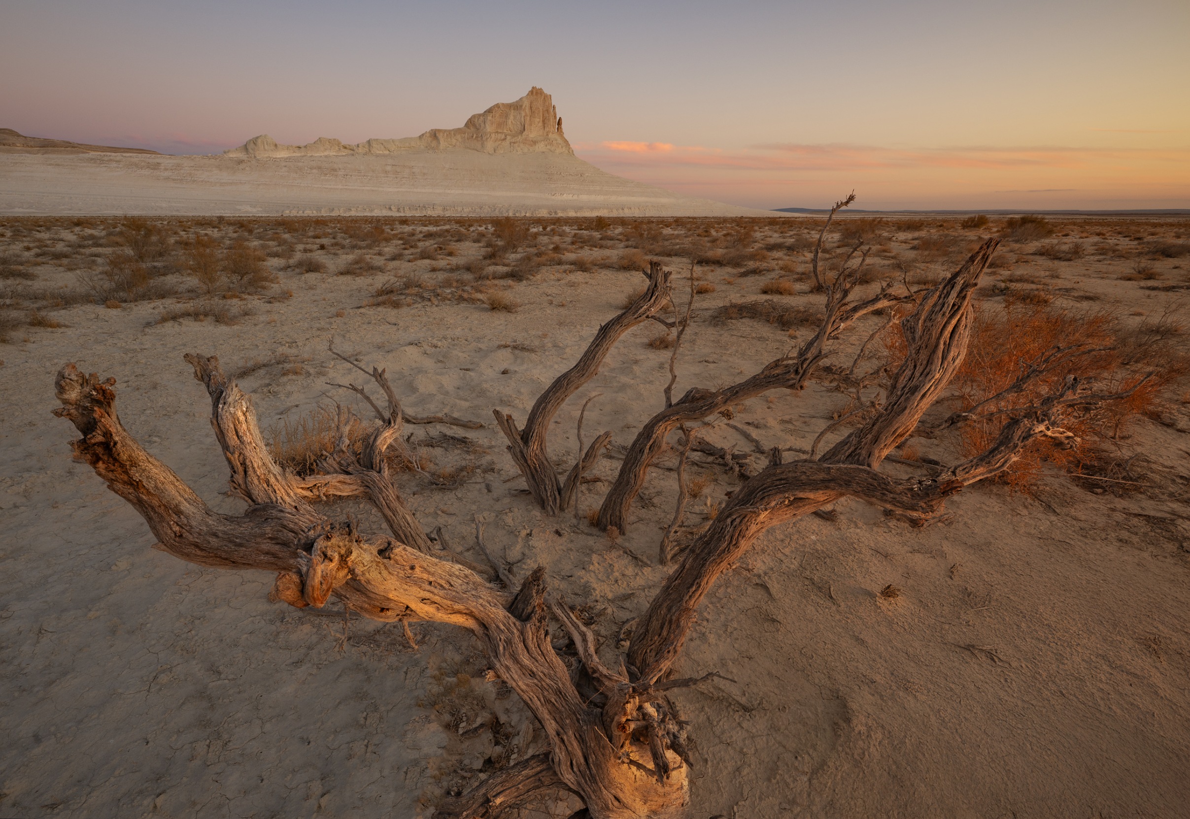 , Ширгин Сергей