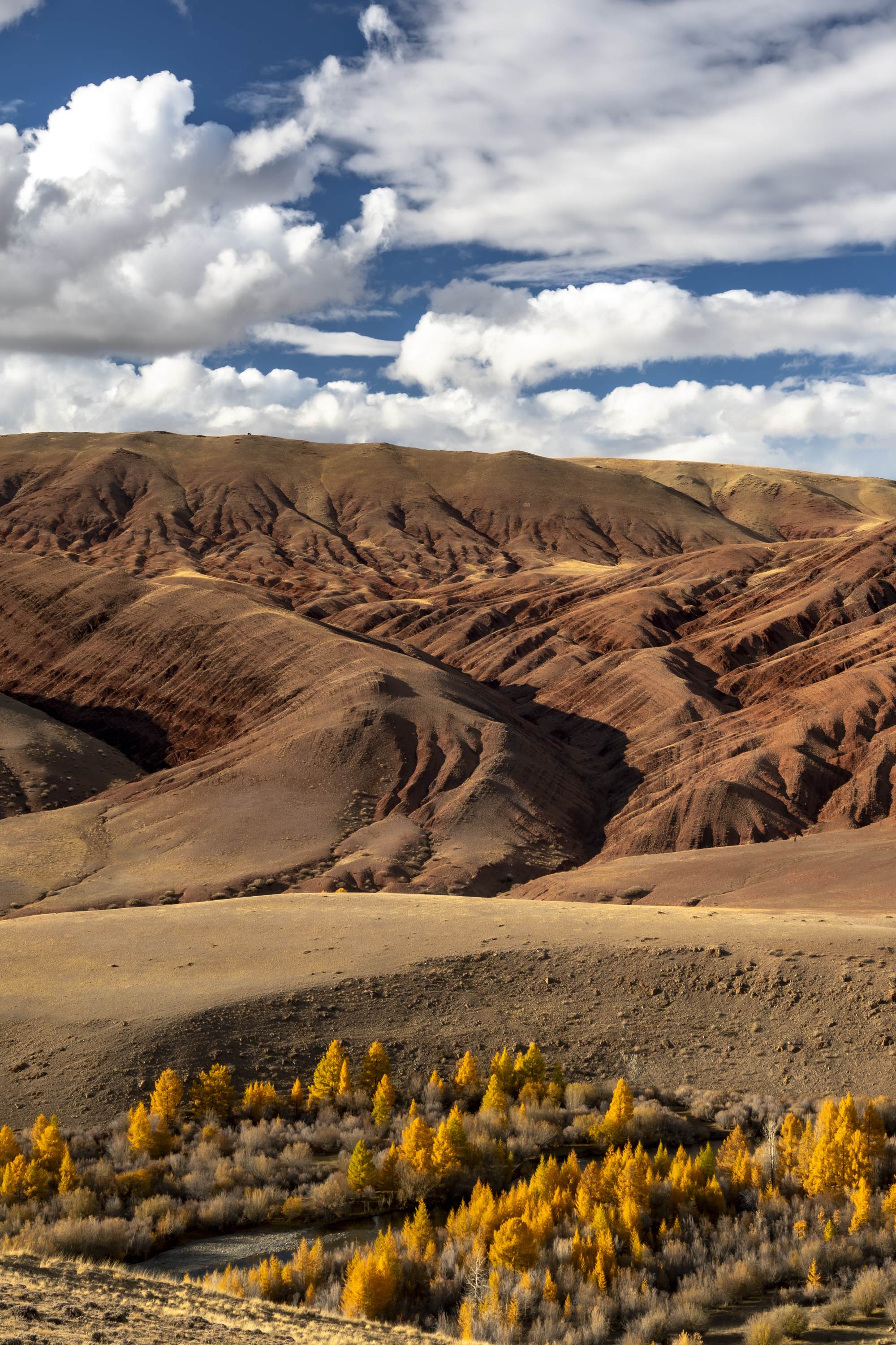 , Геннадий Кравченко
