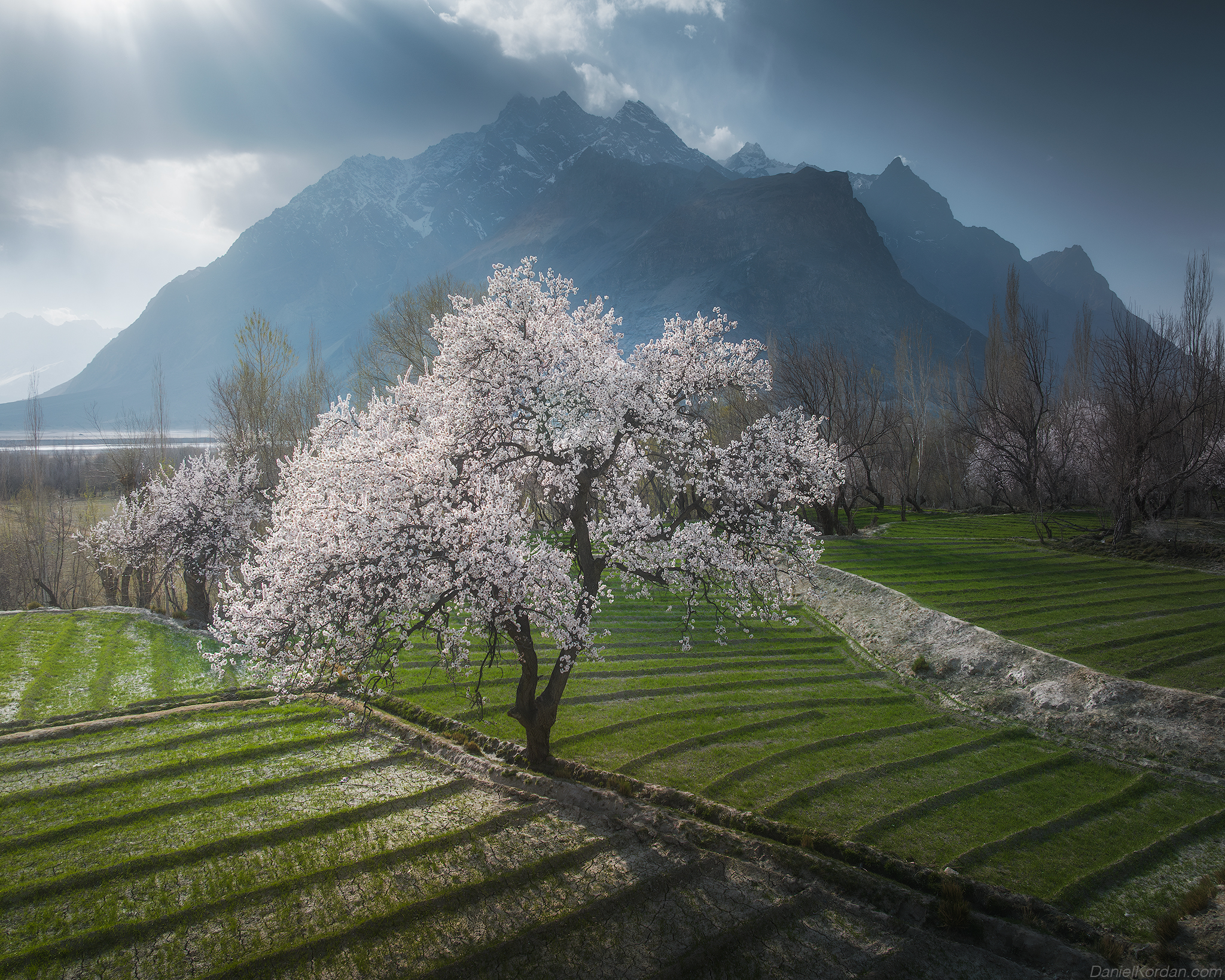 , Даниил Коржонов