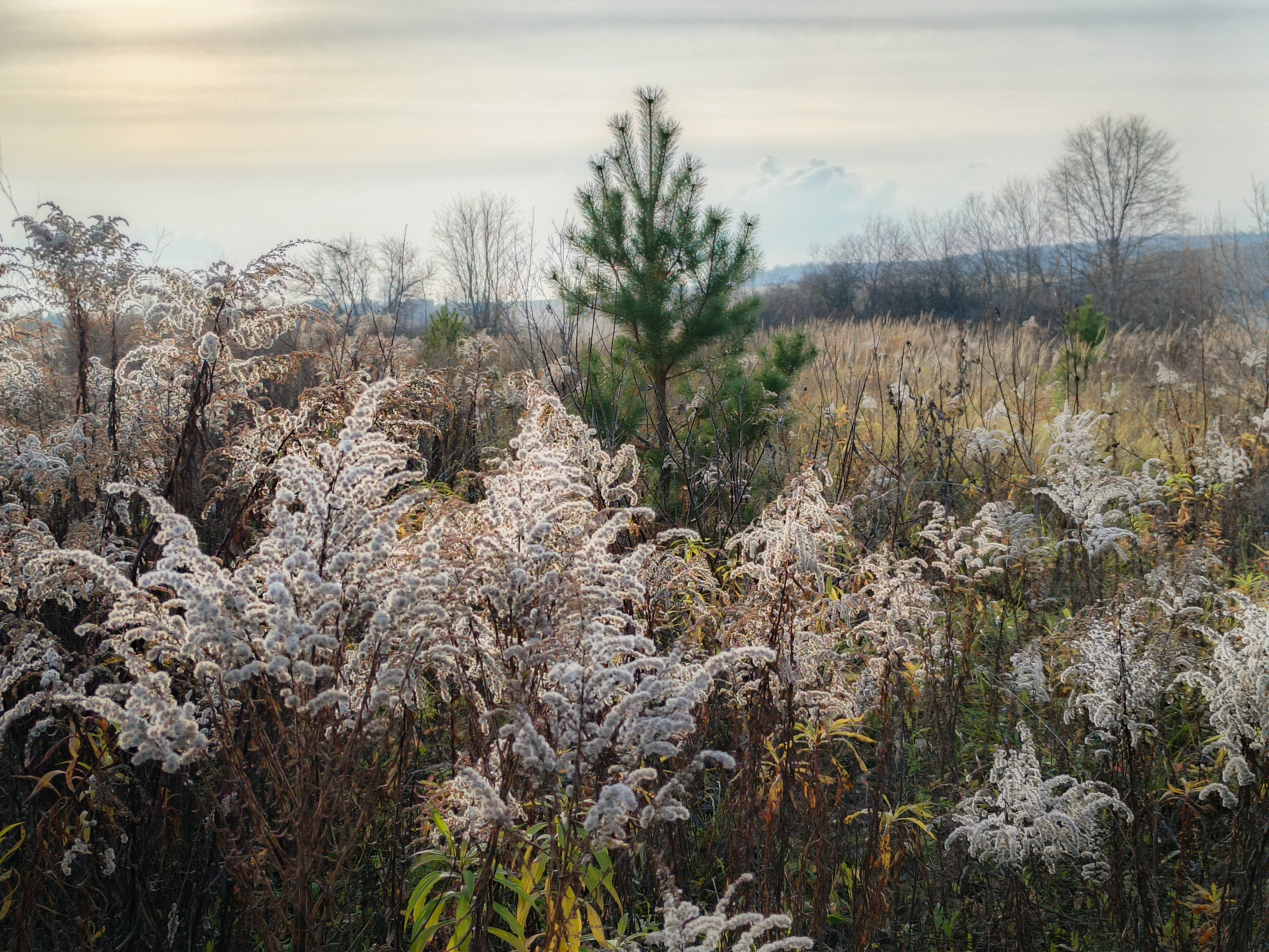 , Кондрашова Светлана