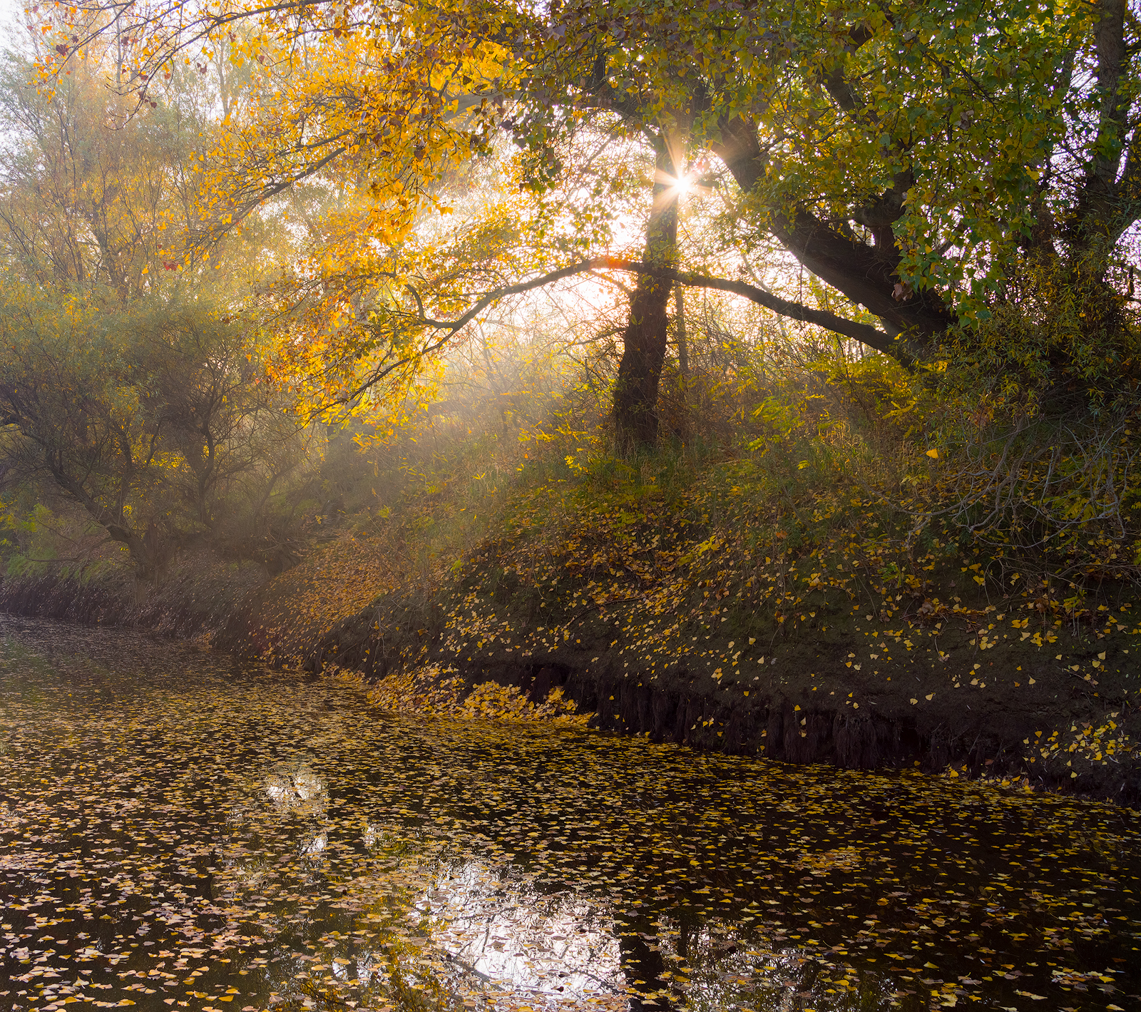 , Любослав Любомиров