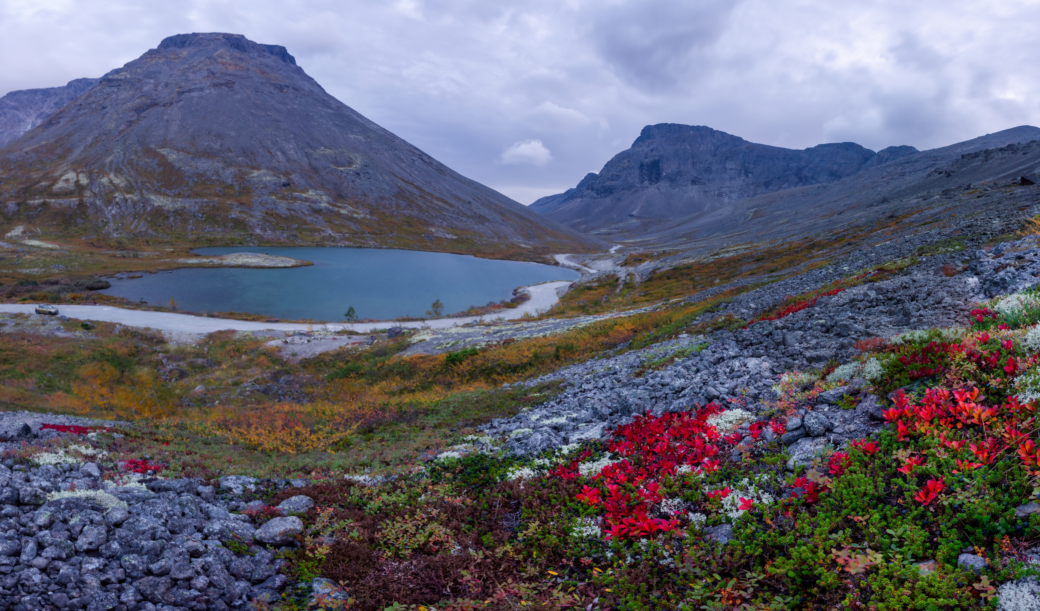 , Комарова Вера