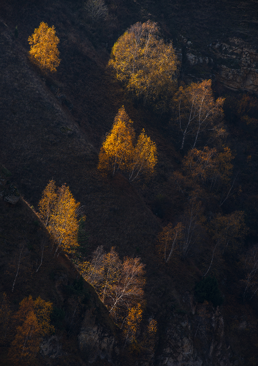, Хасан Журтов
