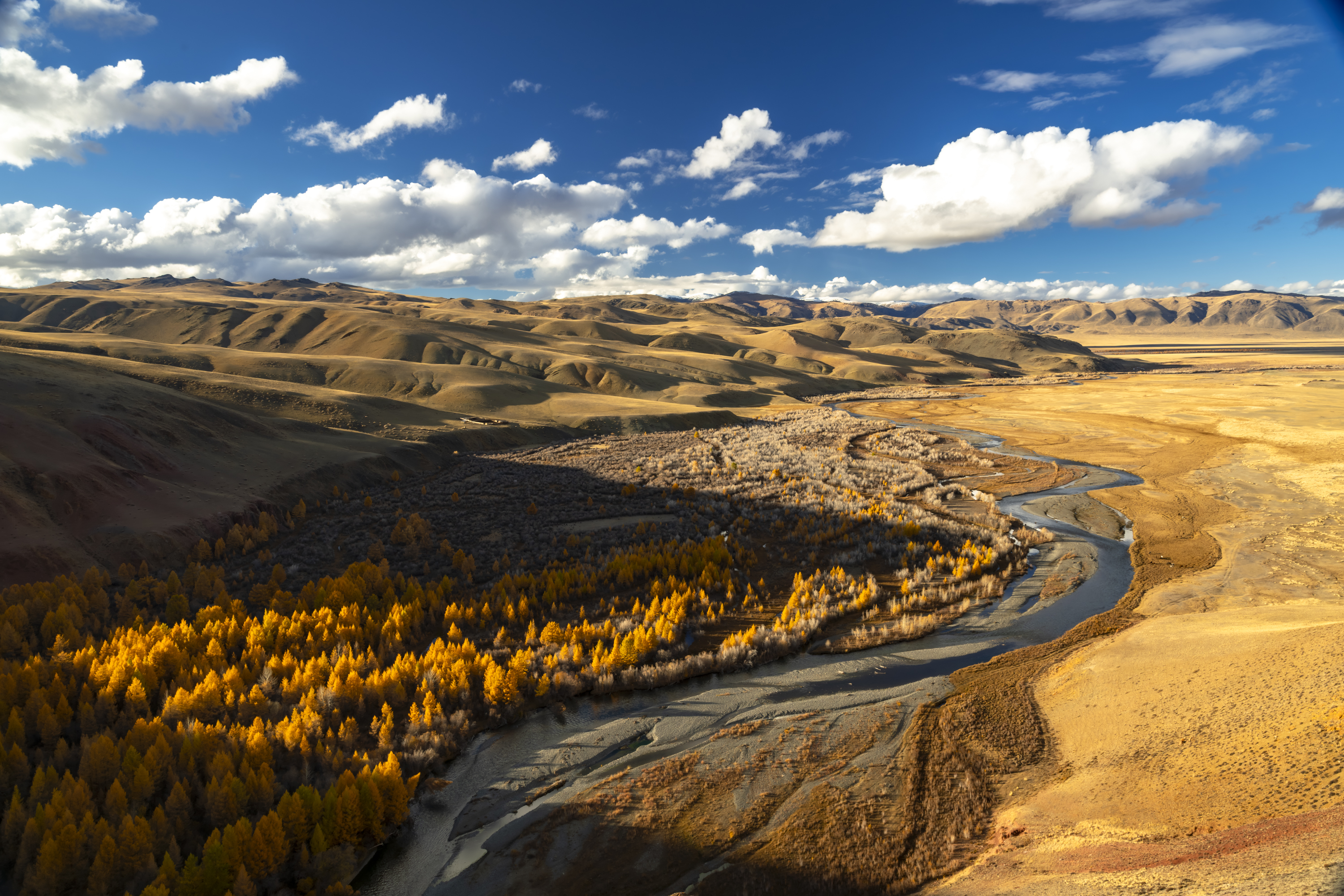 , Геннадий Кравченко