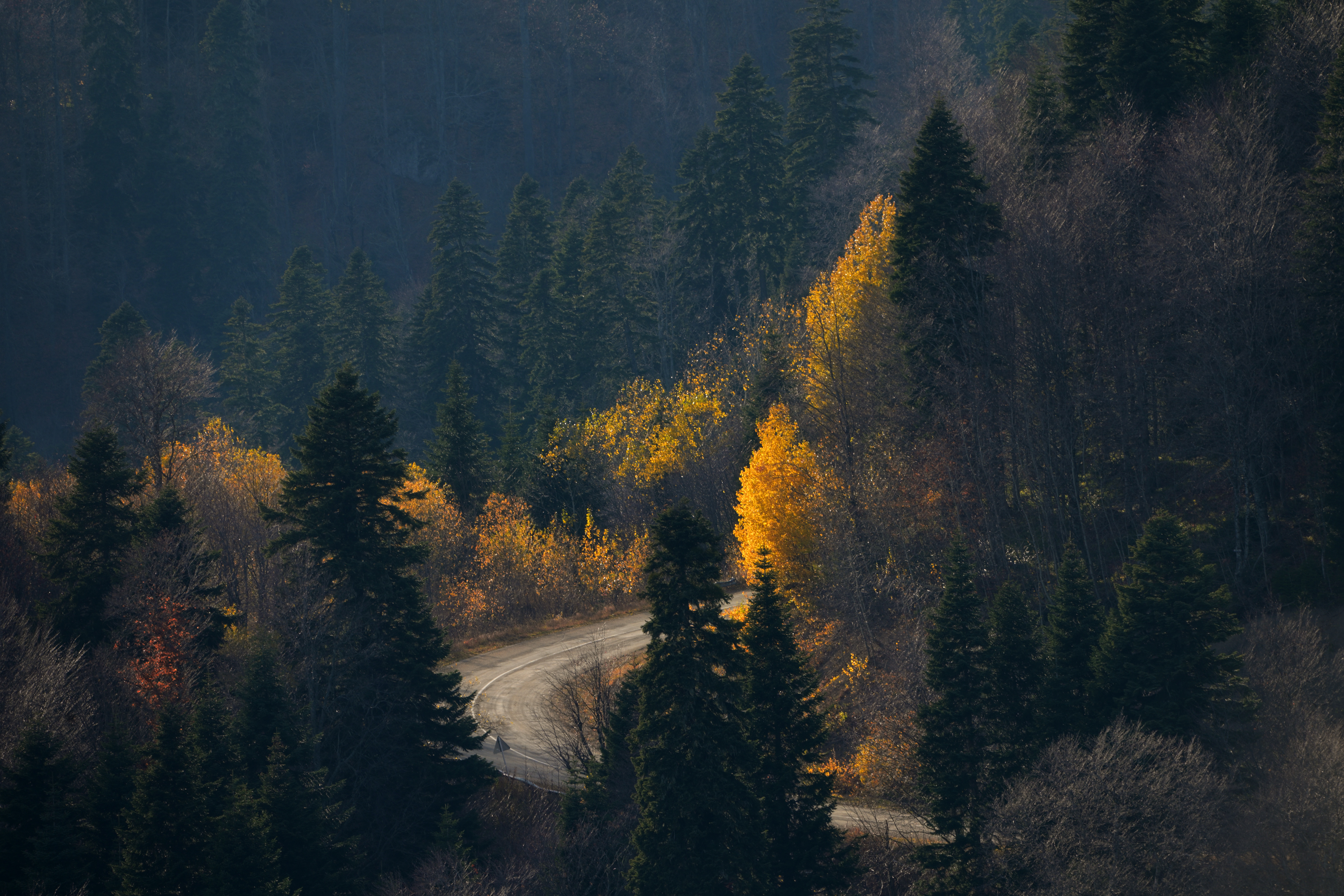 , Сергей Тихомиров