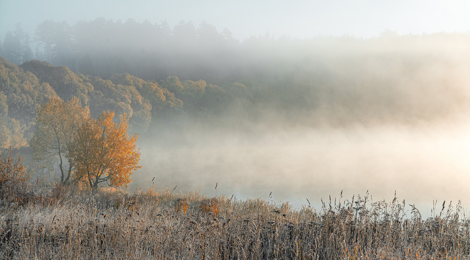 , Анатолий Зверев