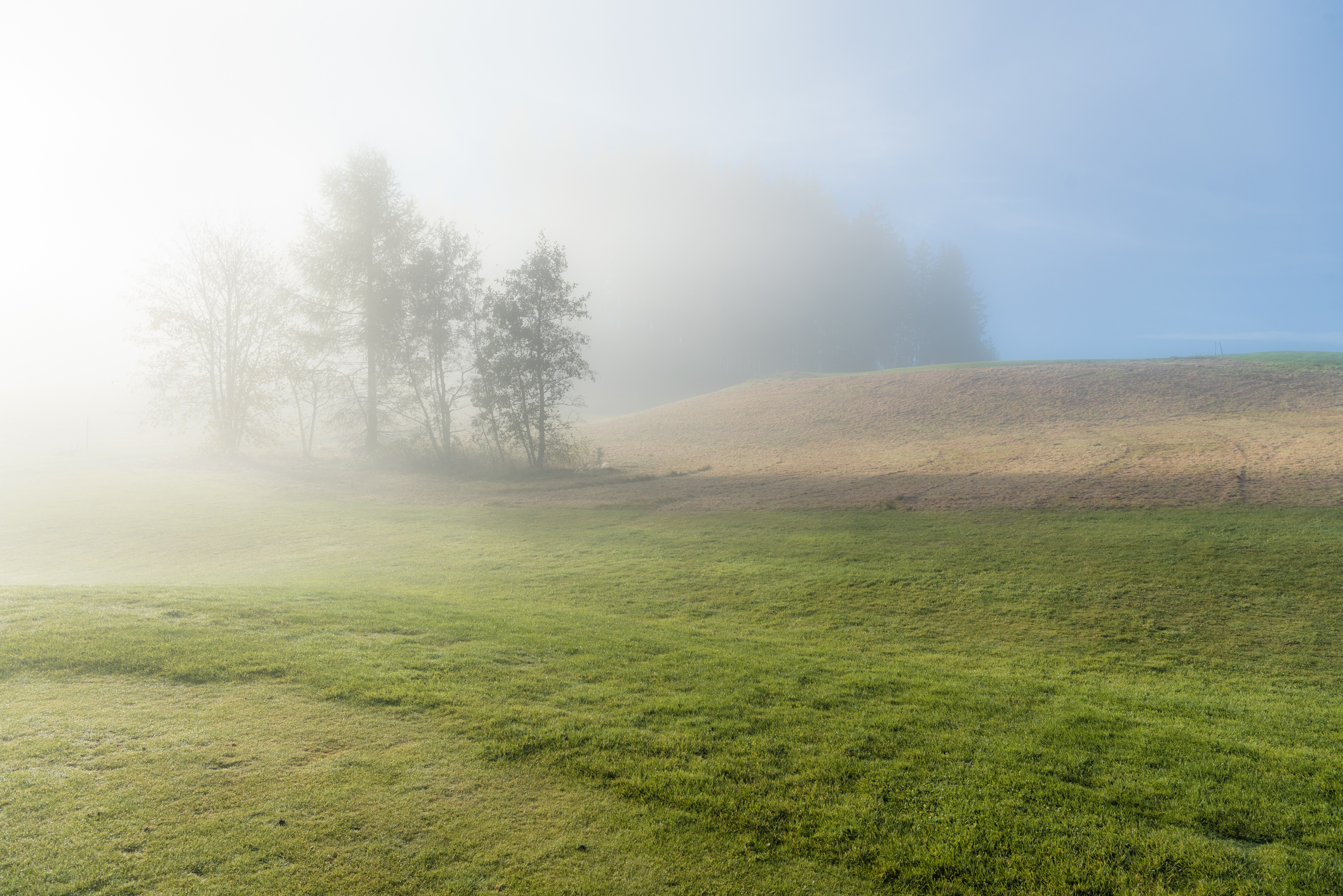 , Руслан Авдевич
