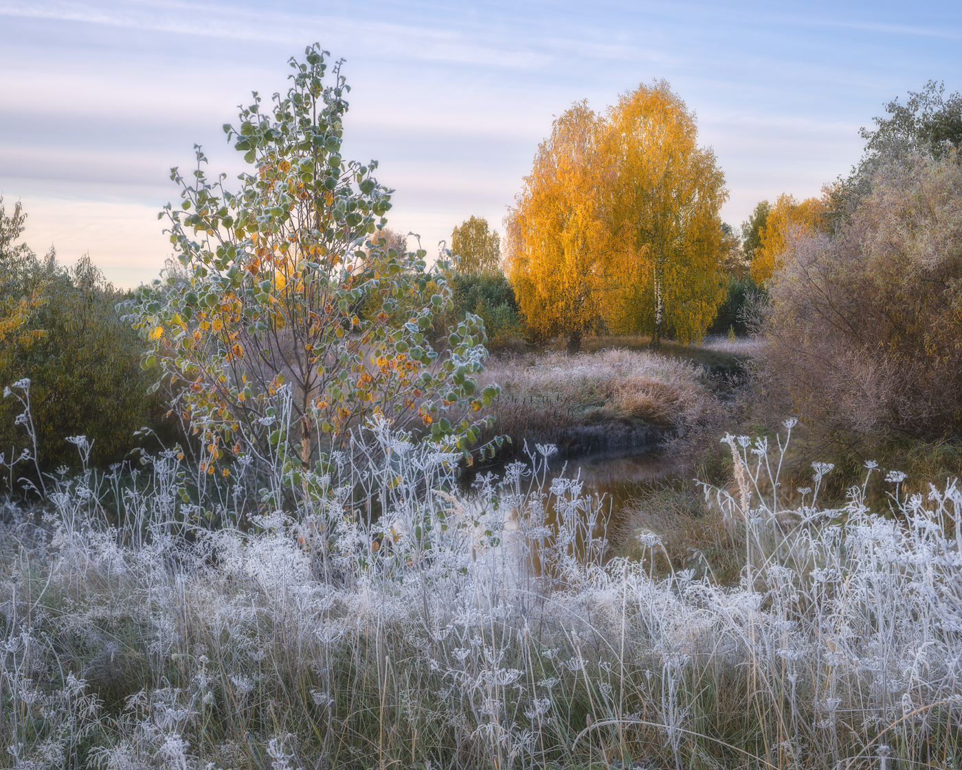 , Михаил Устюжанин