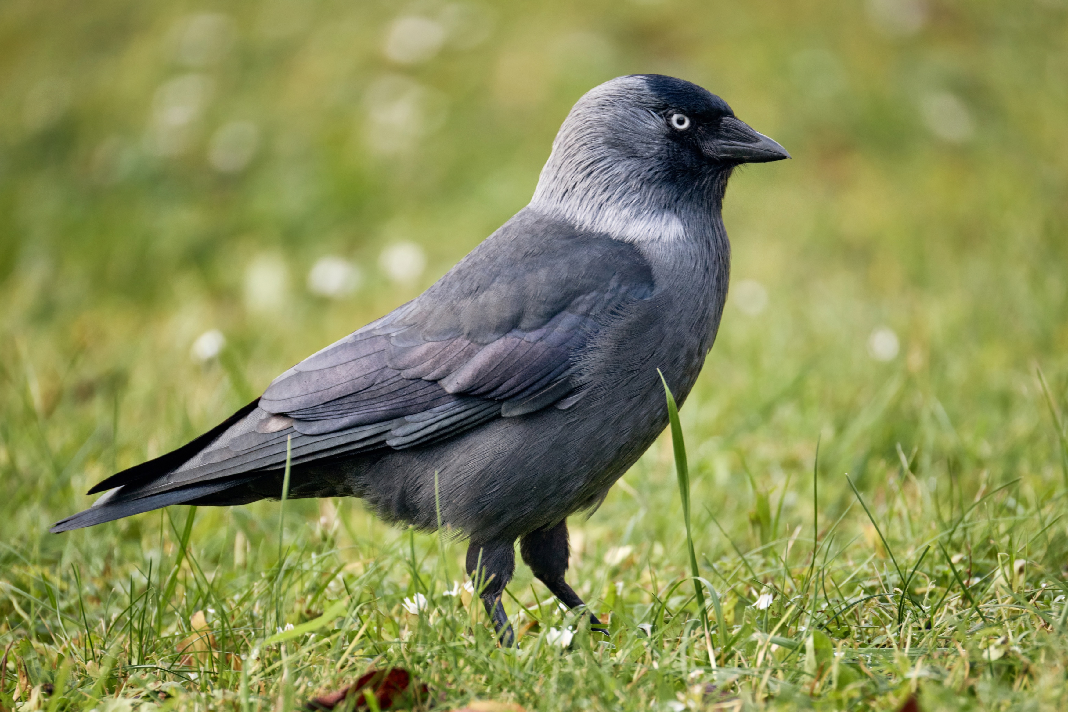 , ssmirs Сергей