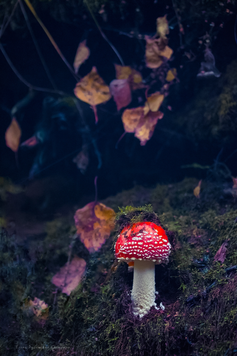 , Елена Рубинская