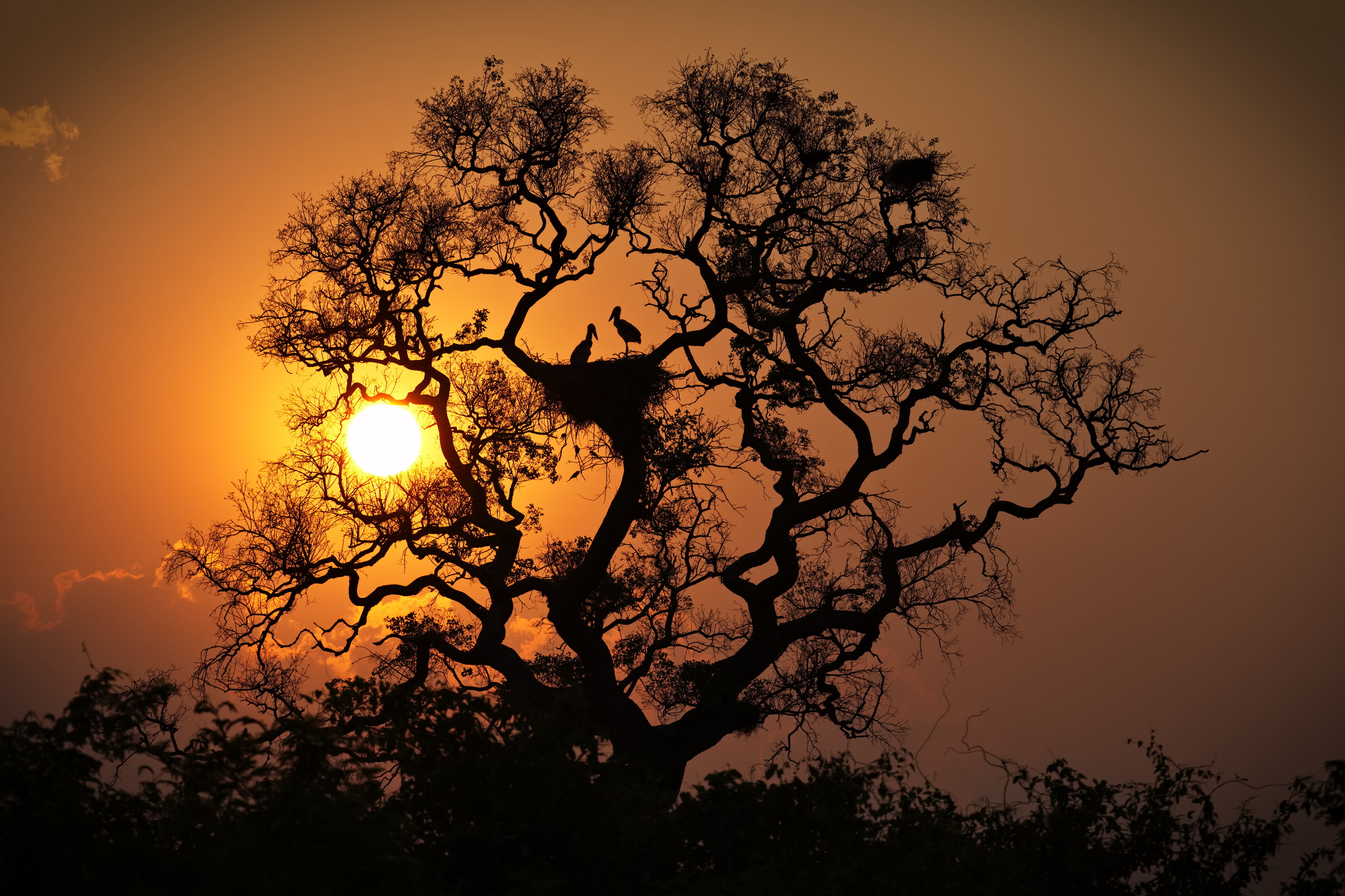 , Игорь Щербаков