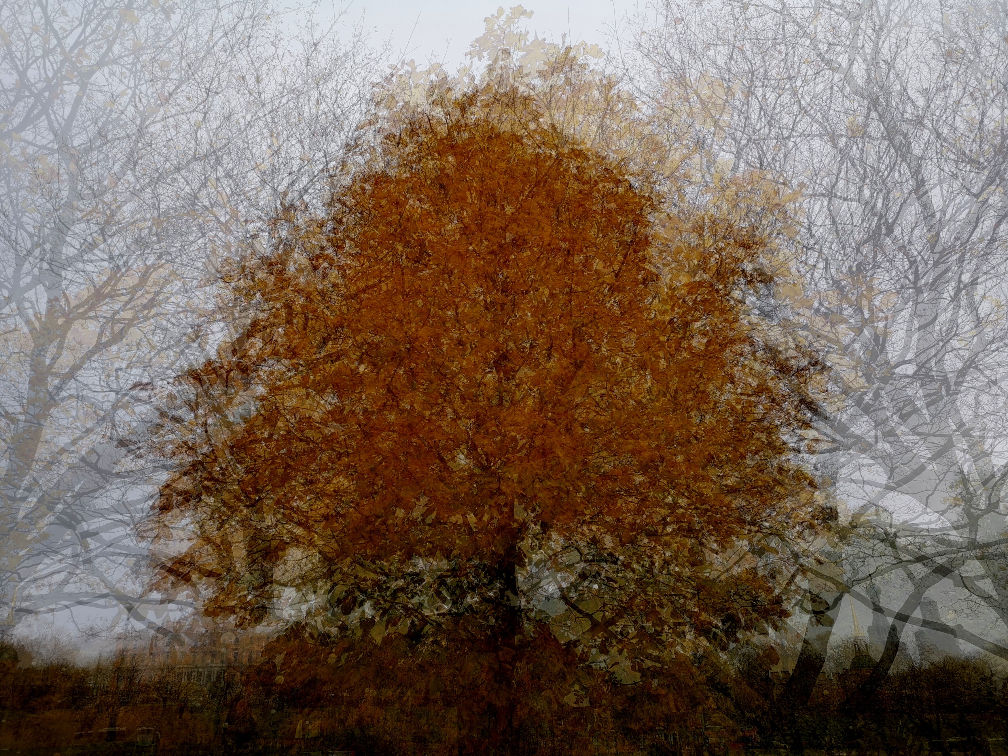 , Антон Лаба