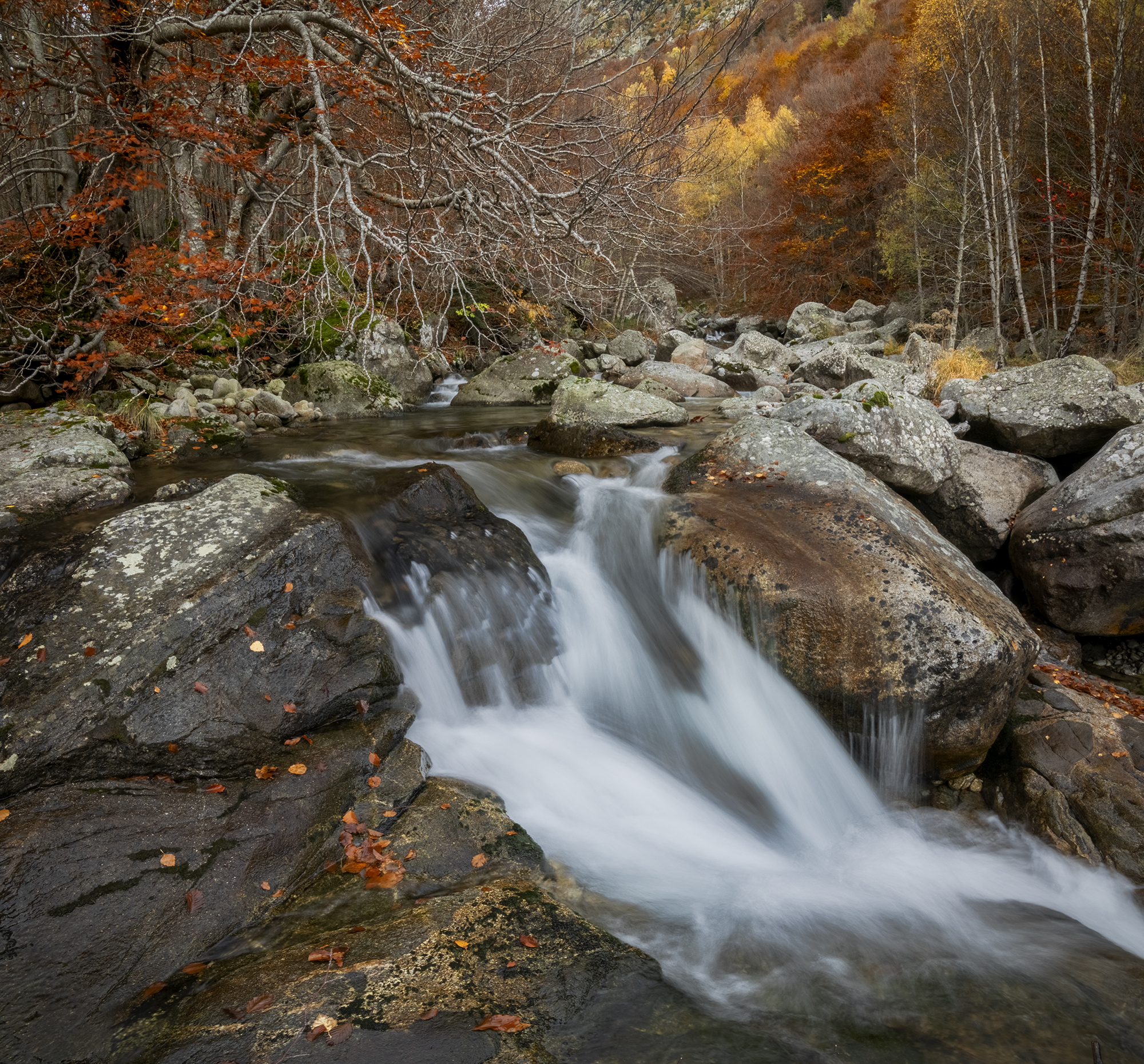 photography, mountain, autumn, flower, landscape, photo, awakening, flowers, land, landmark, lands, dramatic ligth, ligth, mountains, jimenez millan samuel
