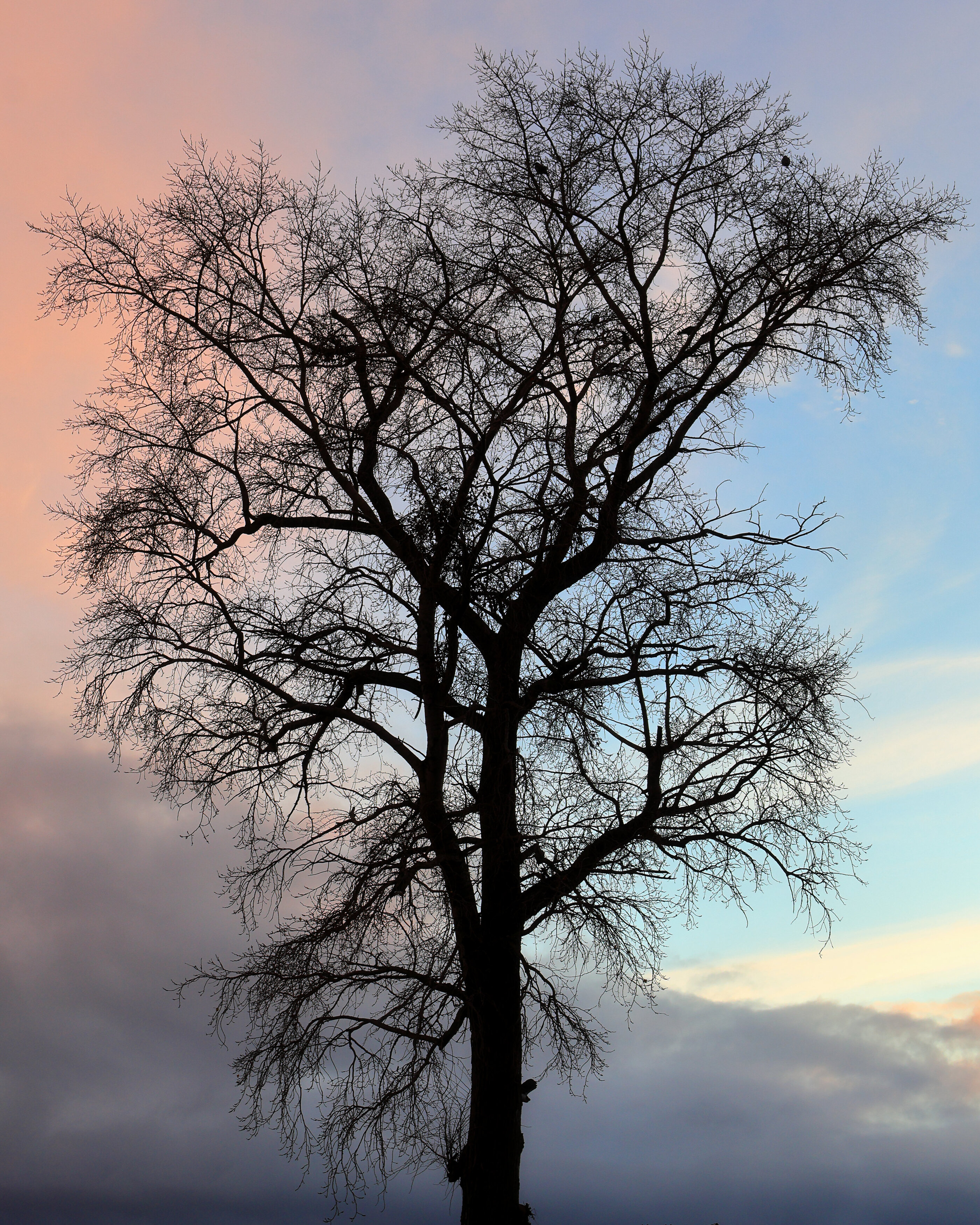 , Александр Титов