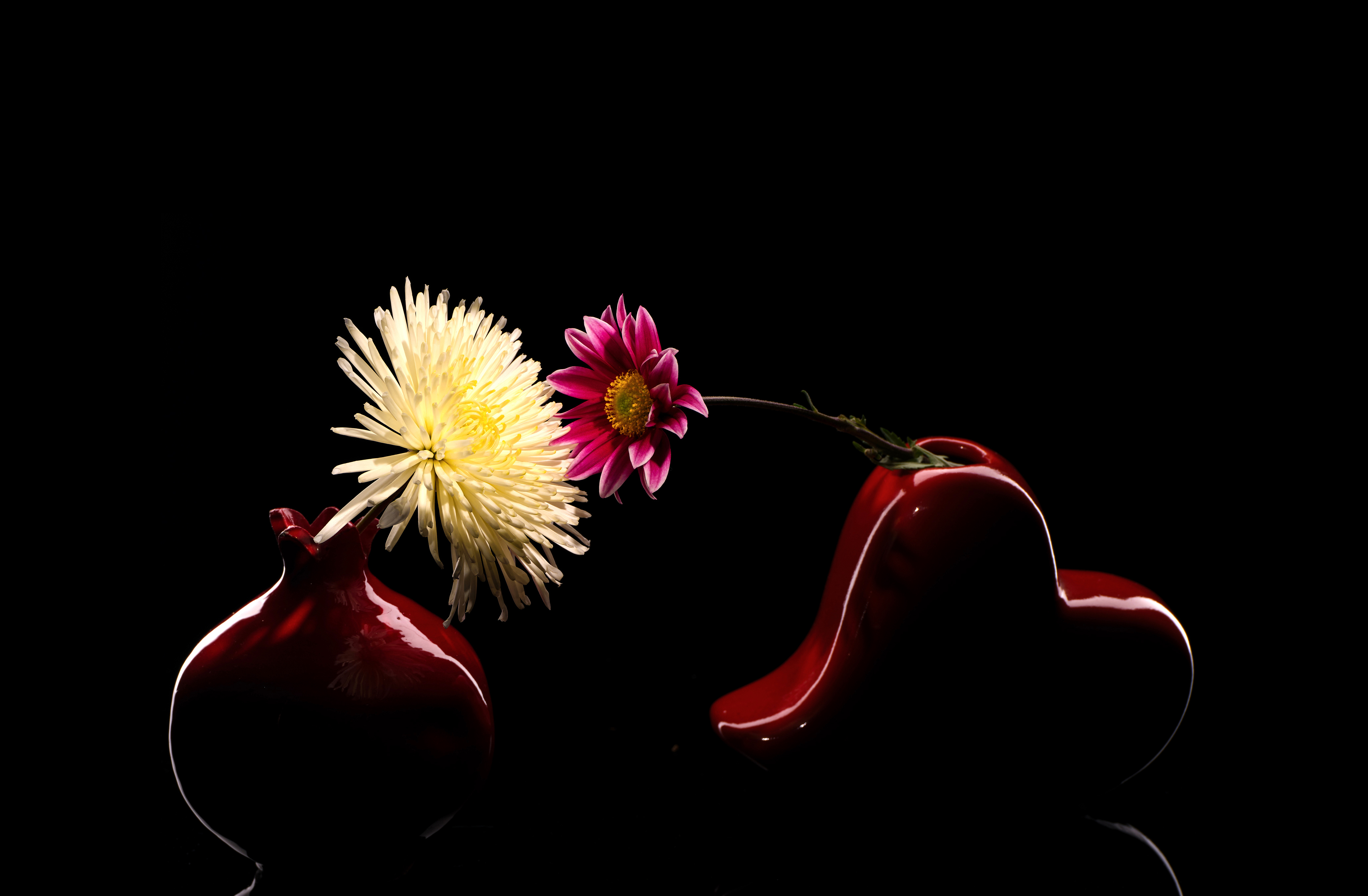 , Виктор Лебедь