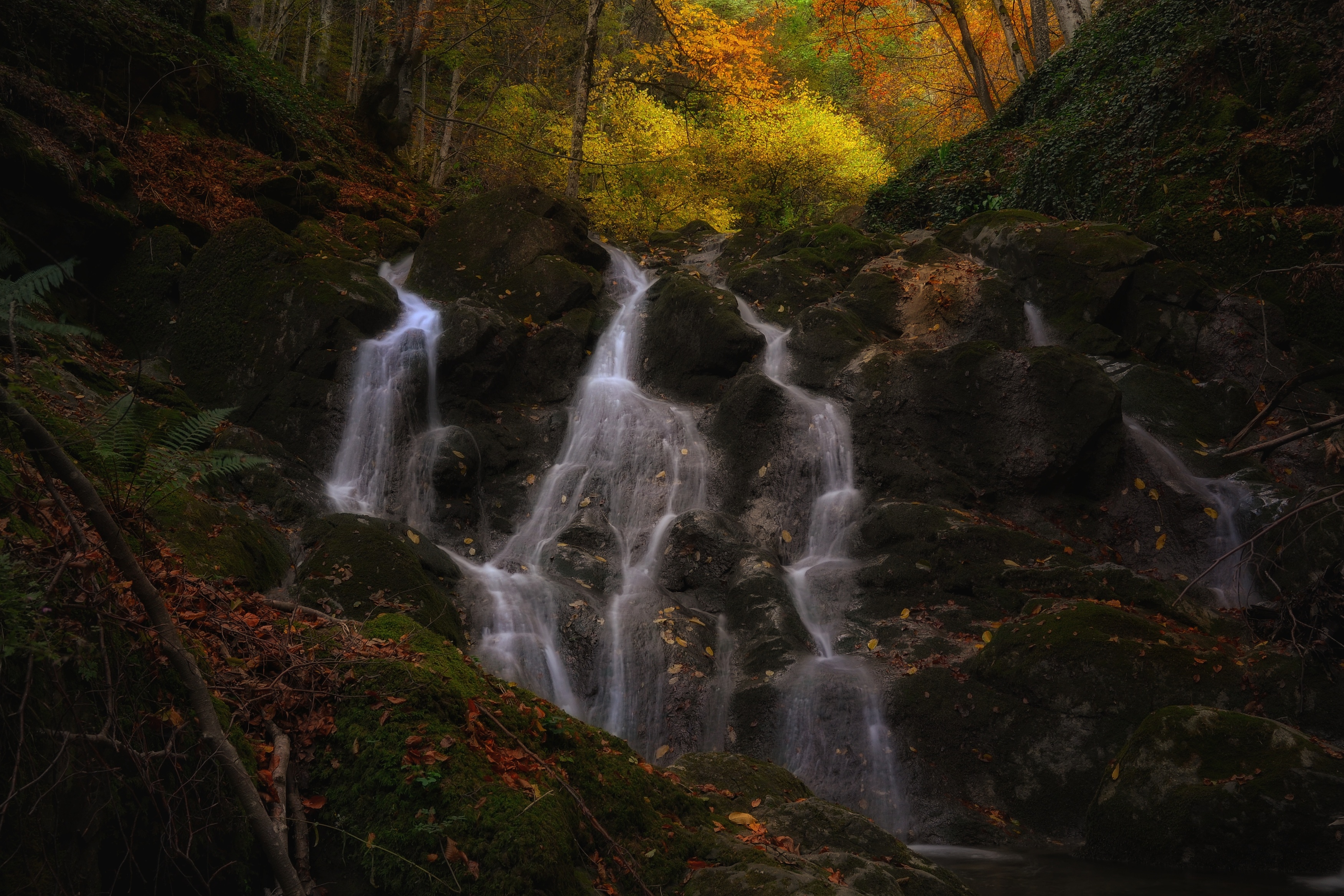 , Юлияна Стоянова