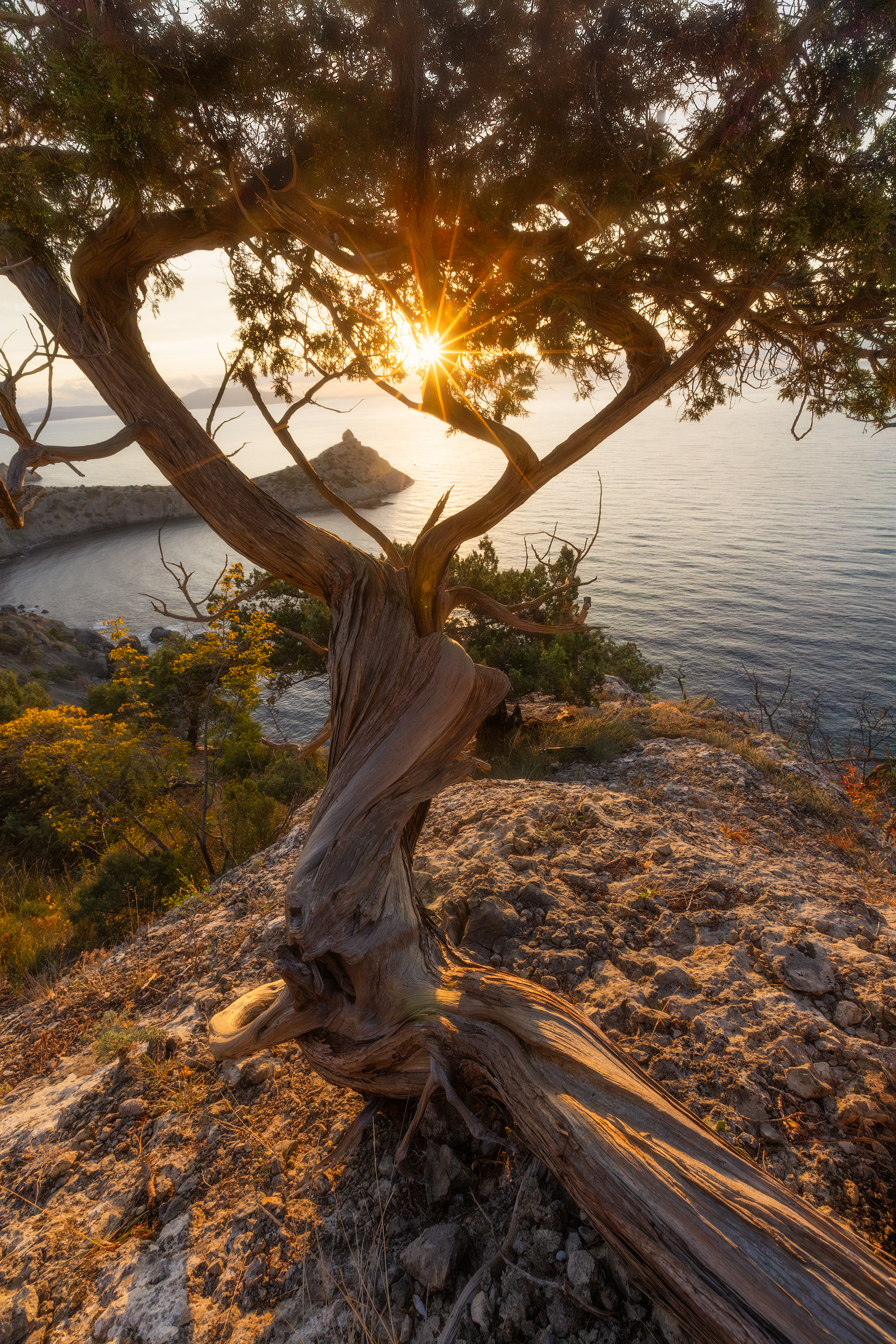 , Костенко Александр