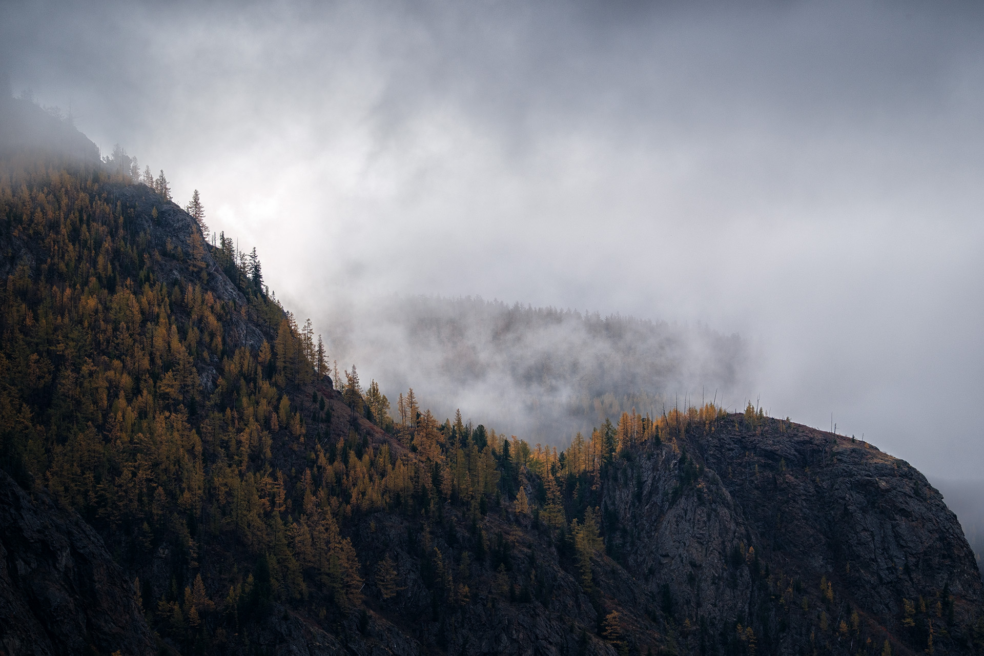 , Бодрягин Виталий