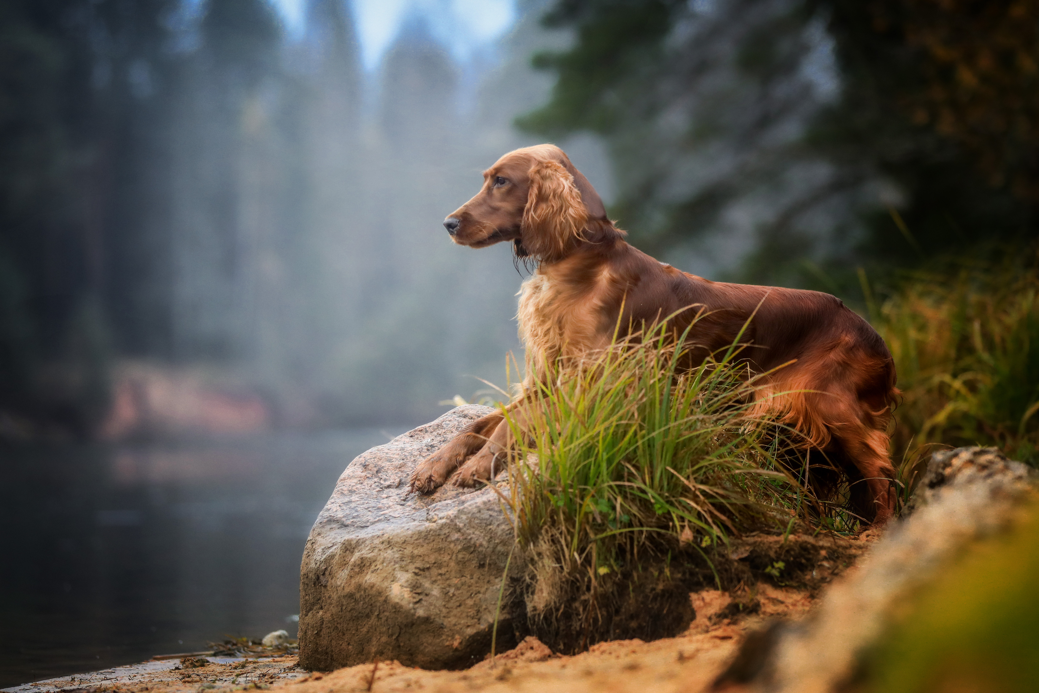 , Андрей Ершов