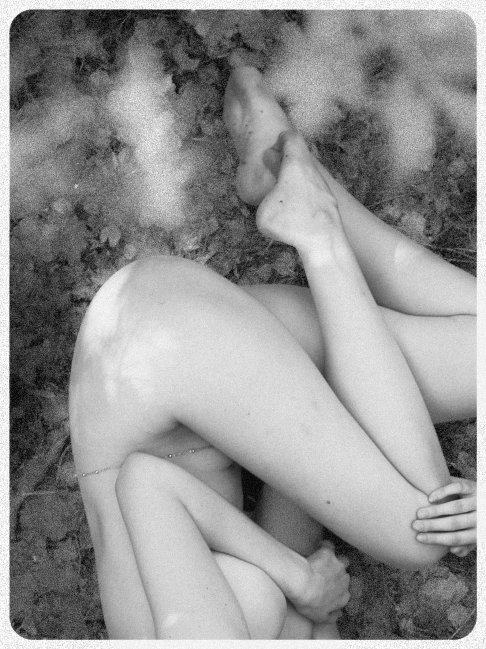 , Эйхольс Вадим