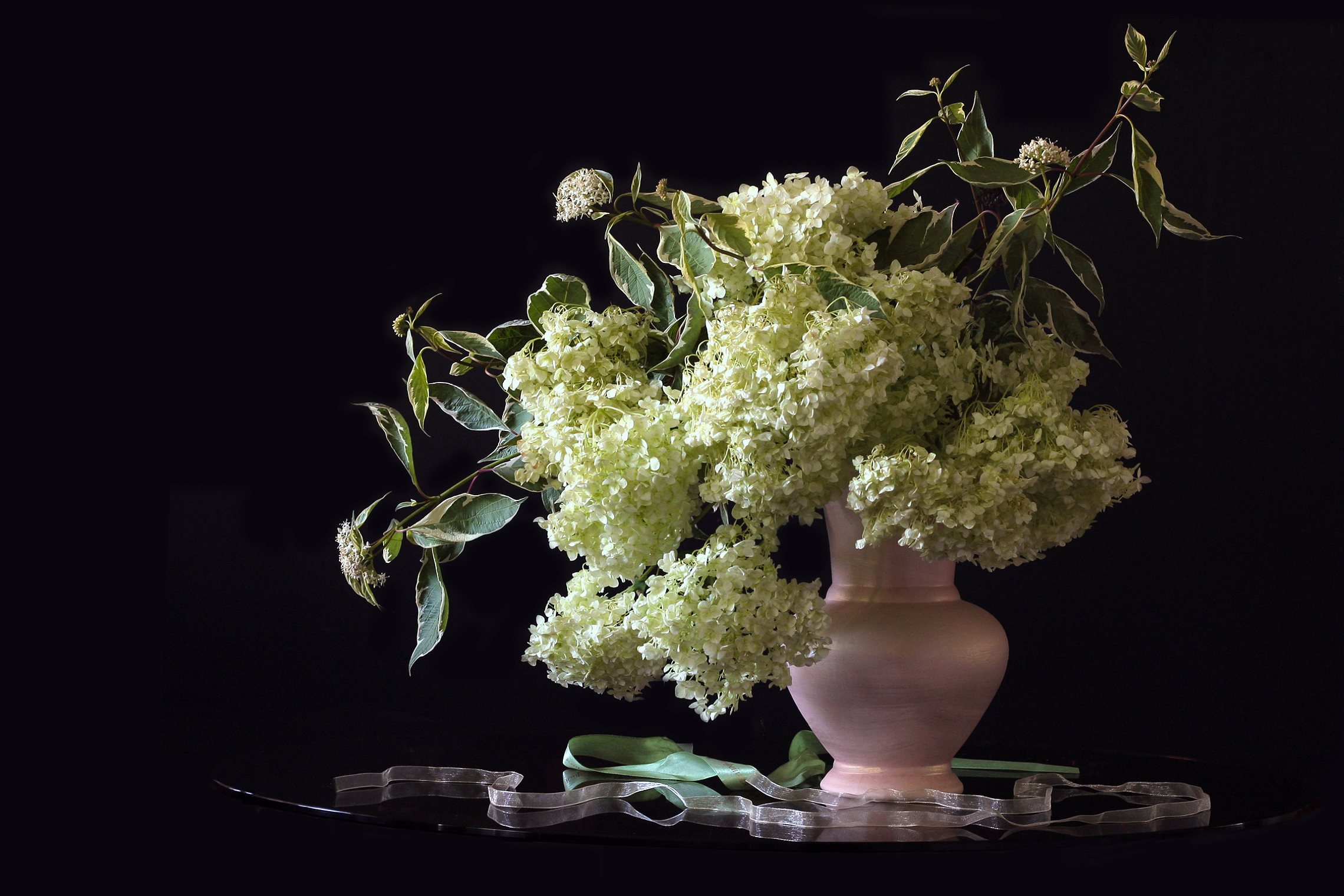 гортензия, дёрен, Заболотская Ольга