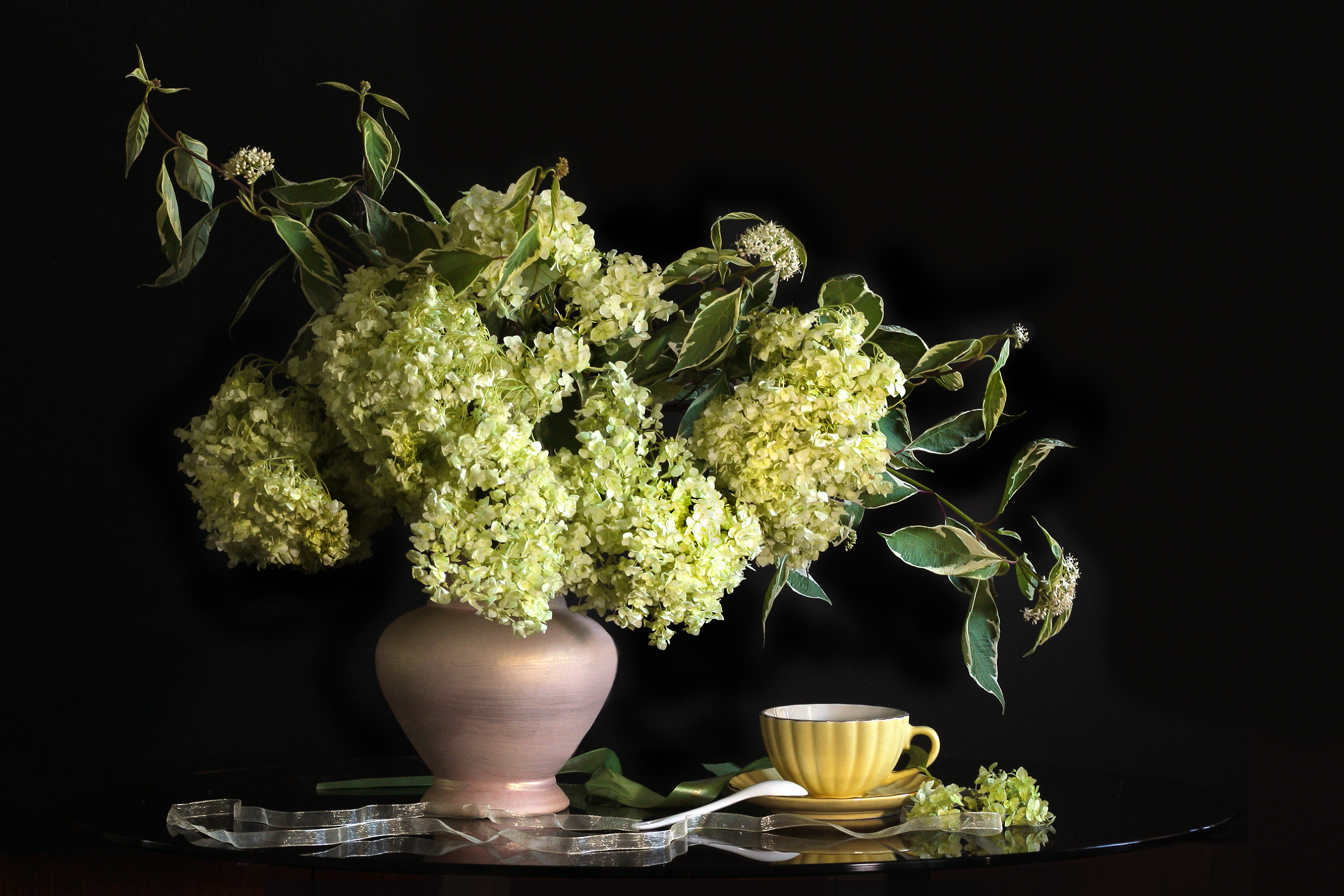 гортензия, дёрен, Заболотская Ольга