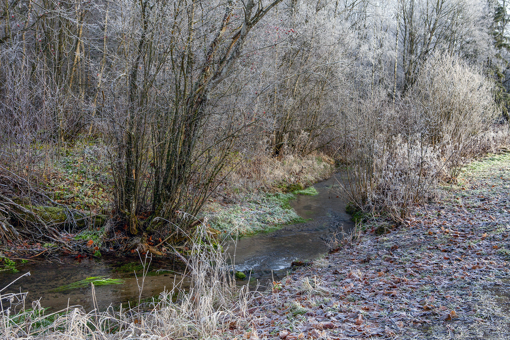 , Aleksandr Mihailov