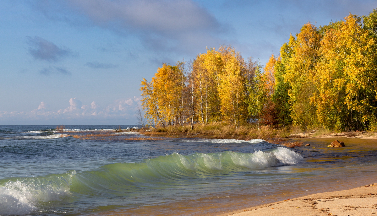 , Трофимов Алексей