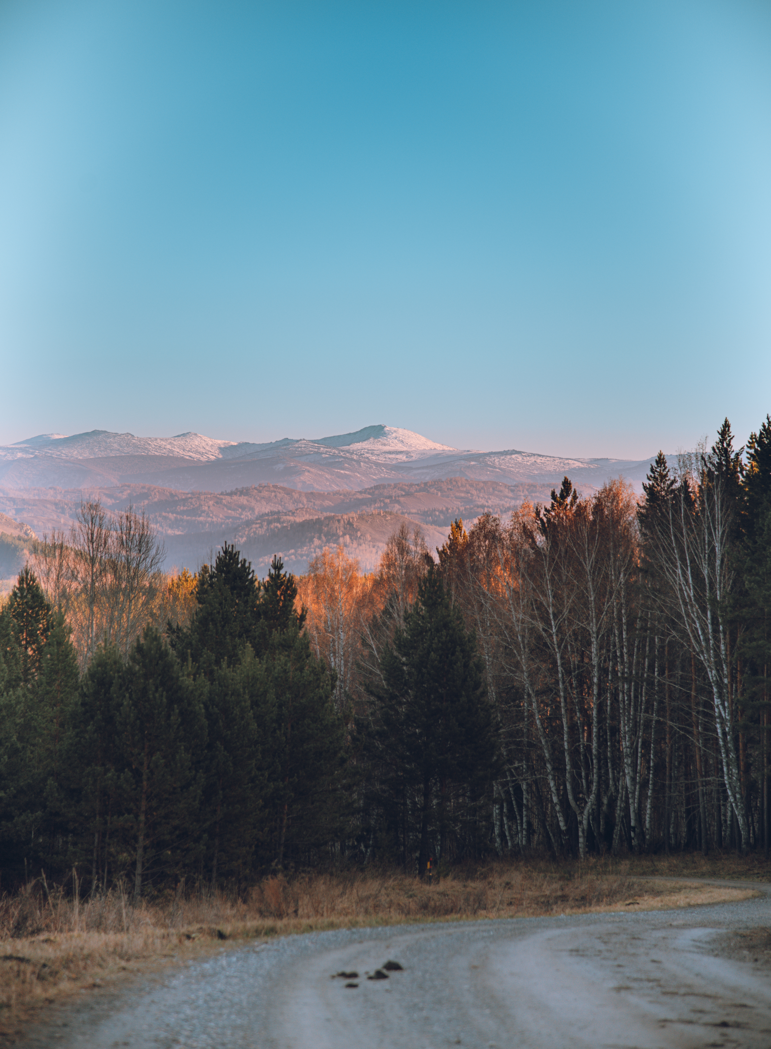 Горы, лес, дорога, осень, , Denis Koshkin