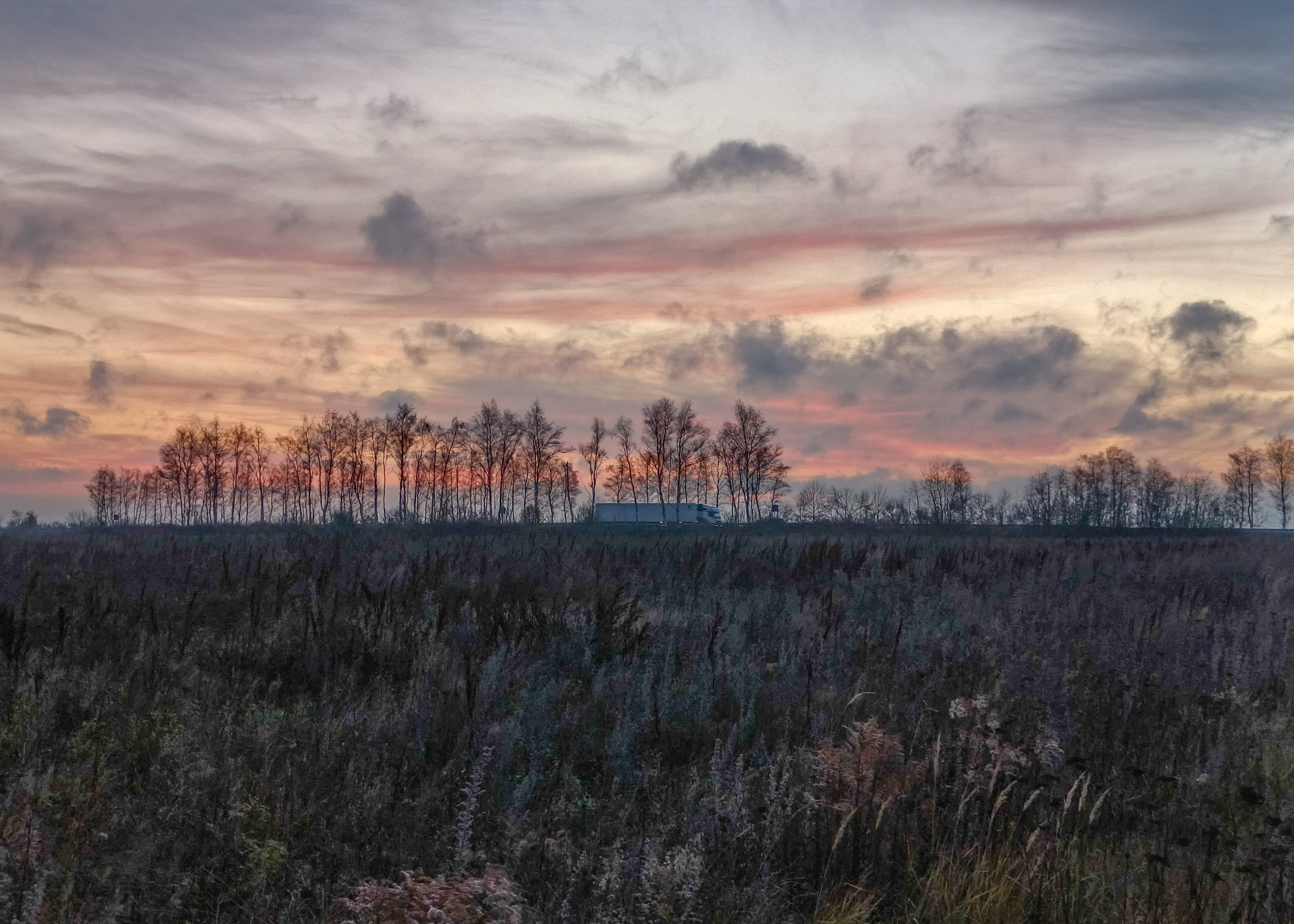 , Кондрашова Светлана