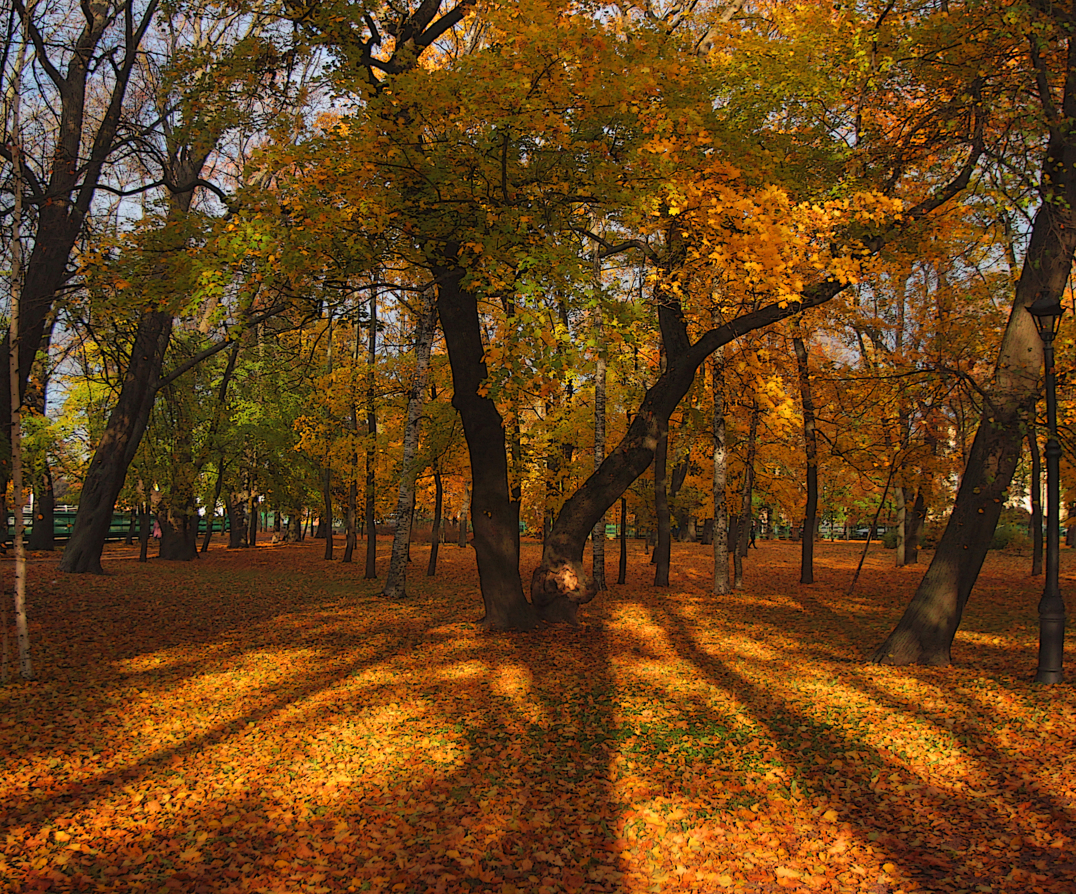 , Сергей Григорьев