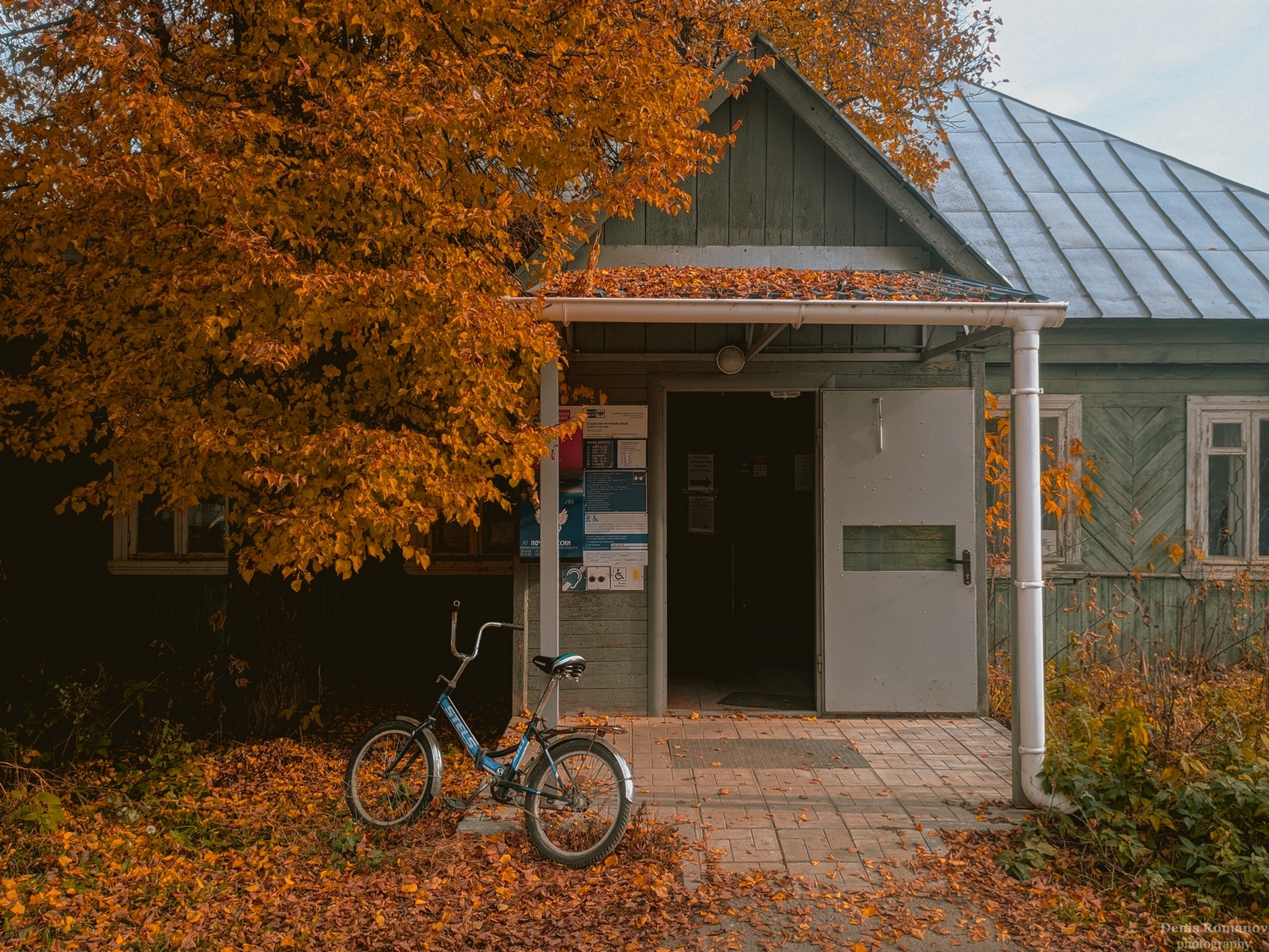 nature, природа, autumn, осень, Denis Romanov