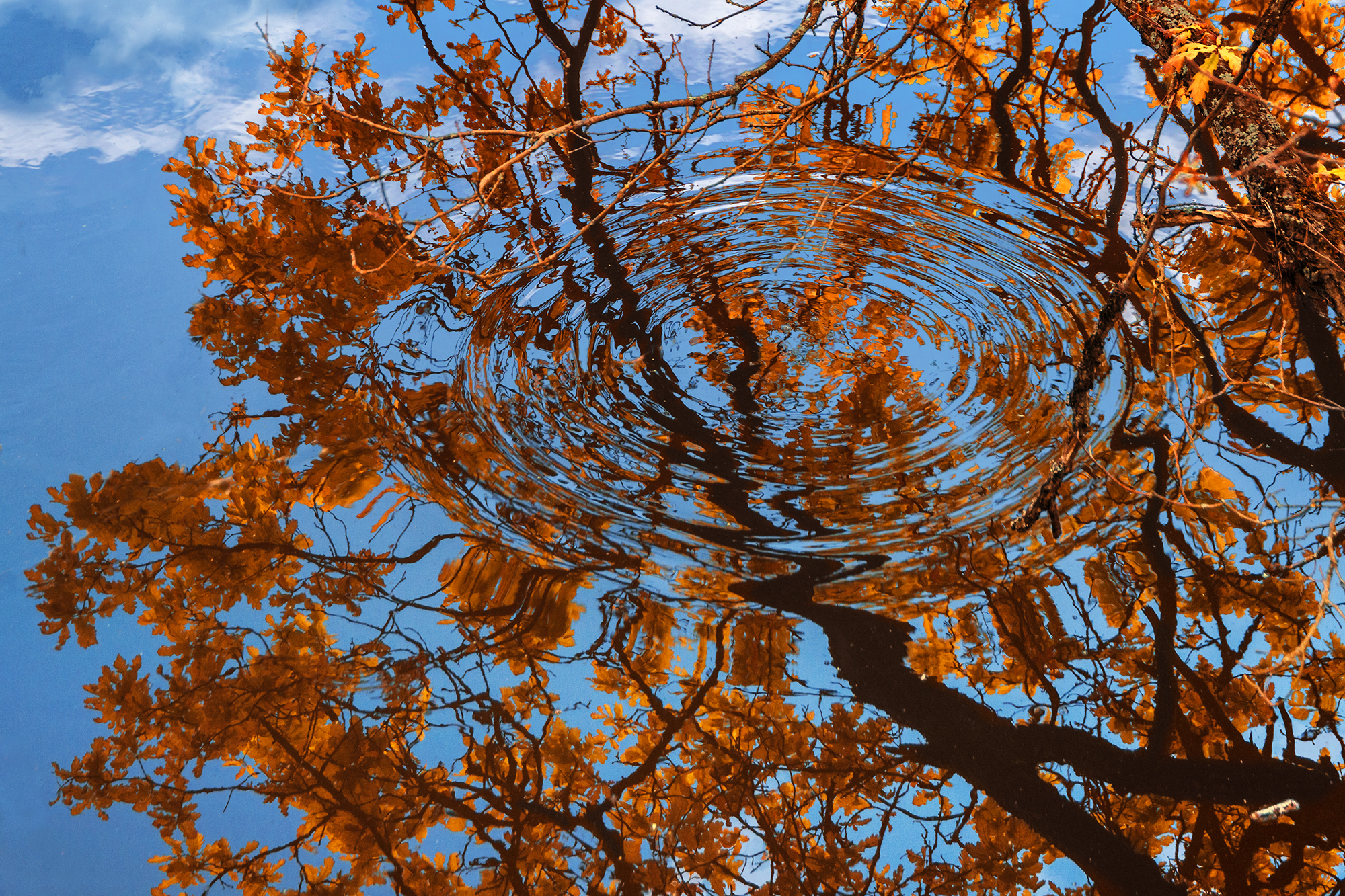 , Владимир Ноздрачев