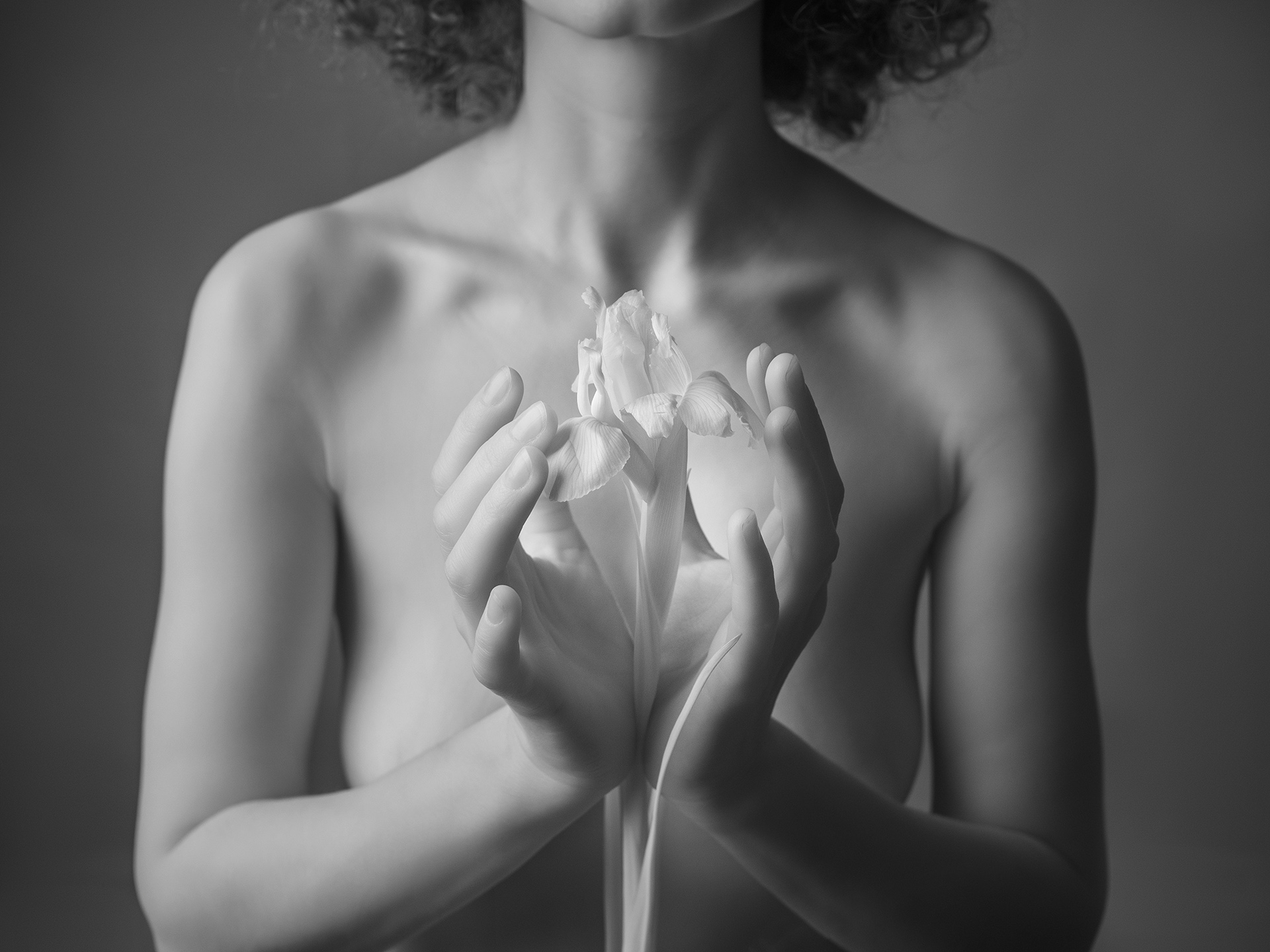 Iris, ирис, ню, ботаника, Nude Botanica, Иван Куликов