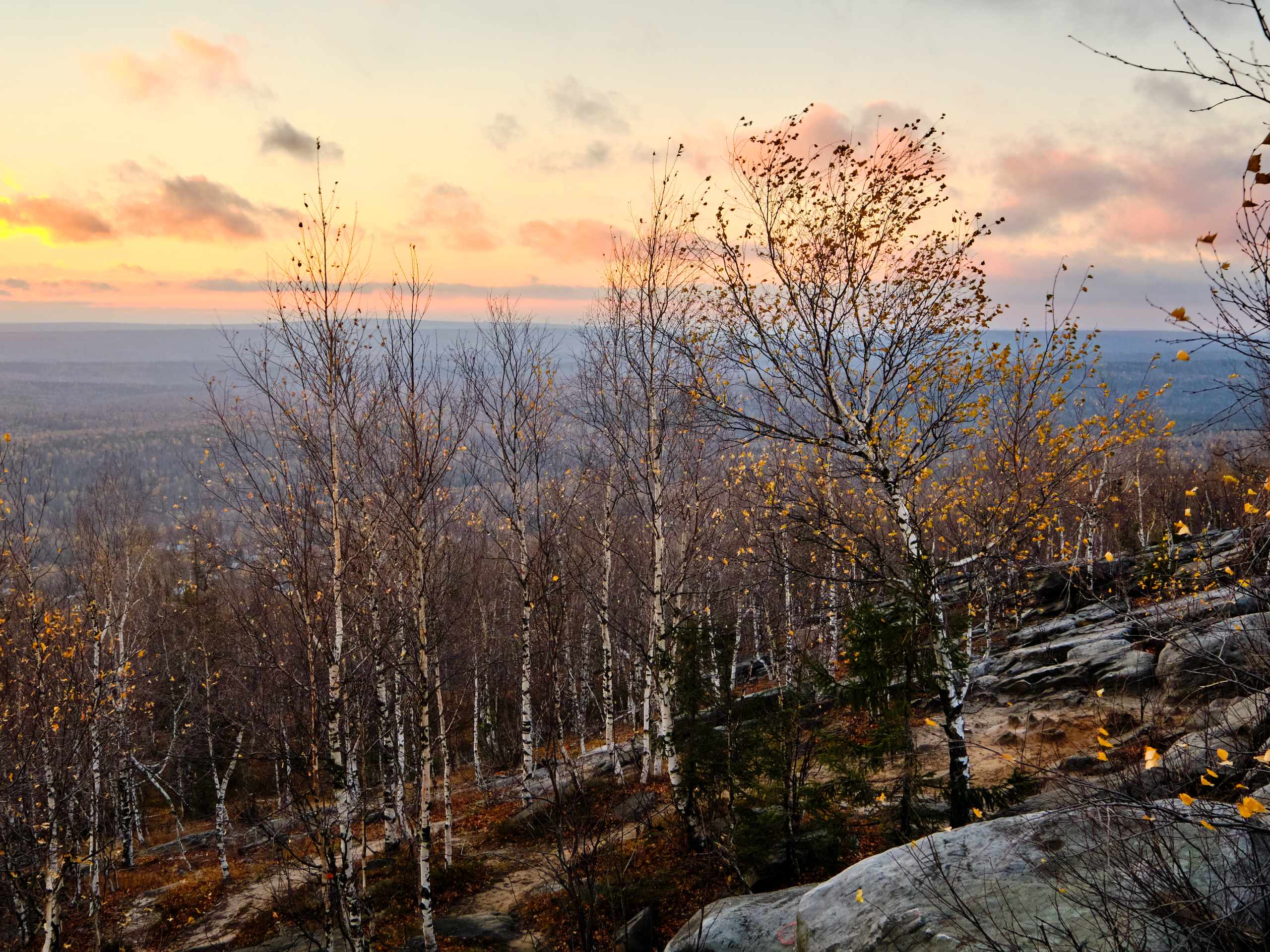 , Савицкий Ян