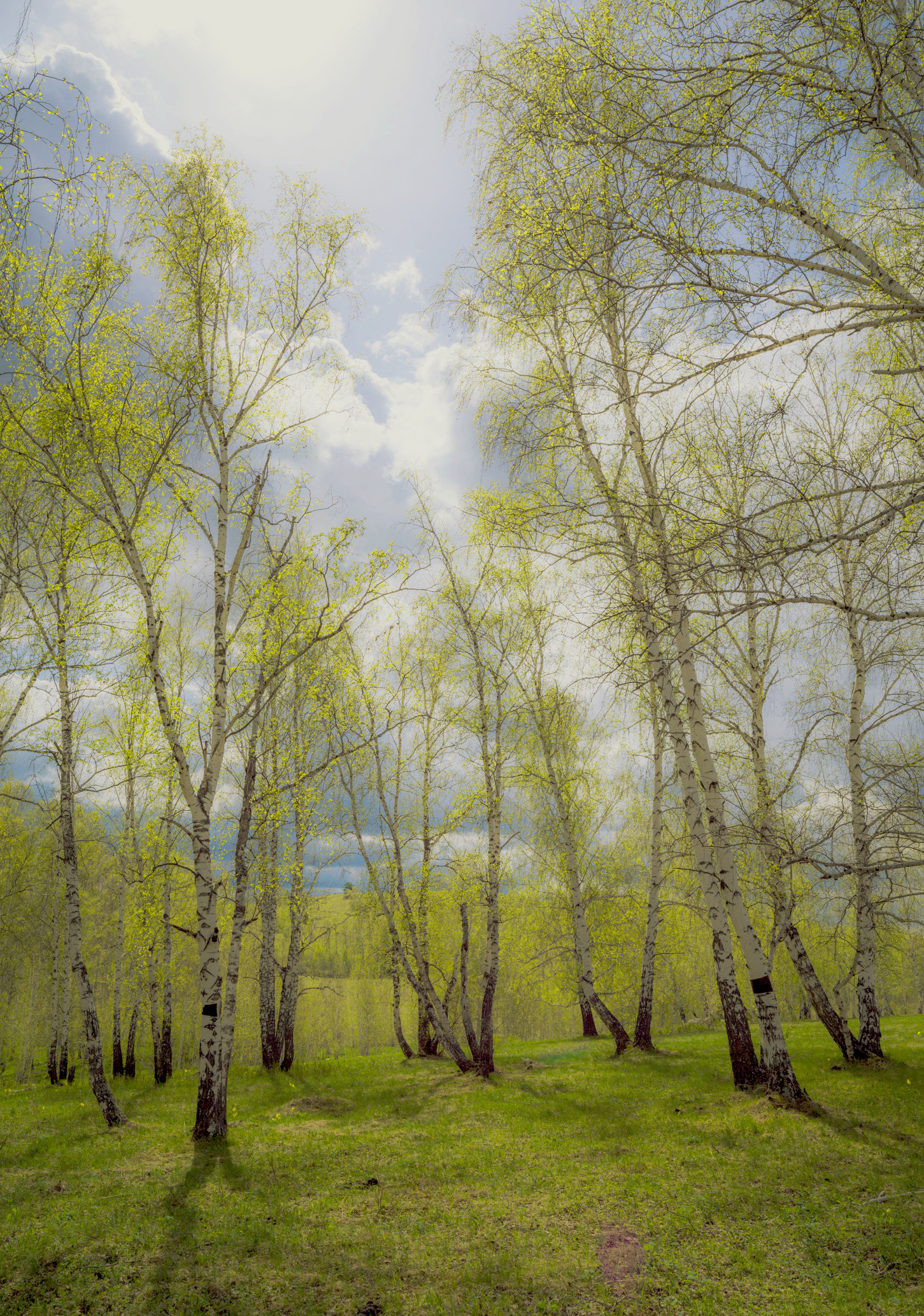 , Шустиков Дмитрий