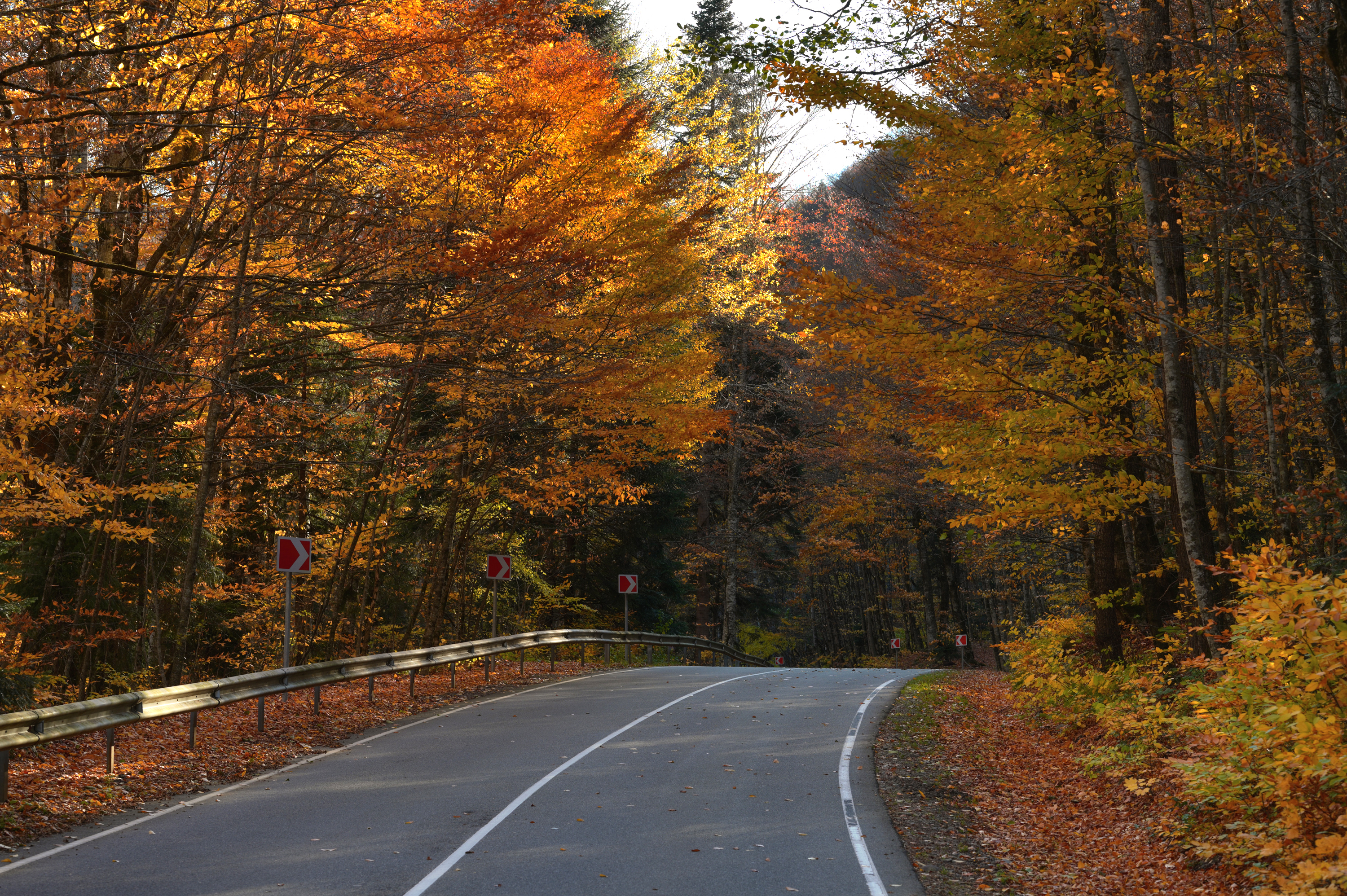 , Сергей Тихомиров