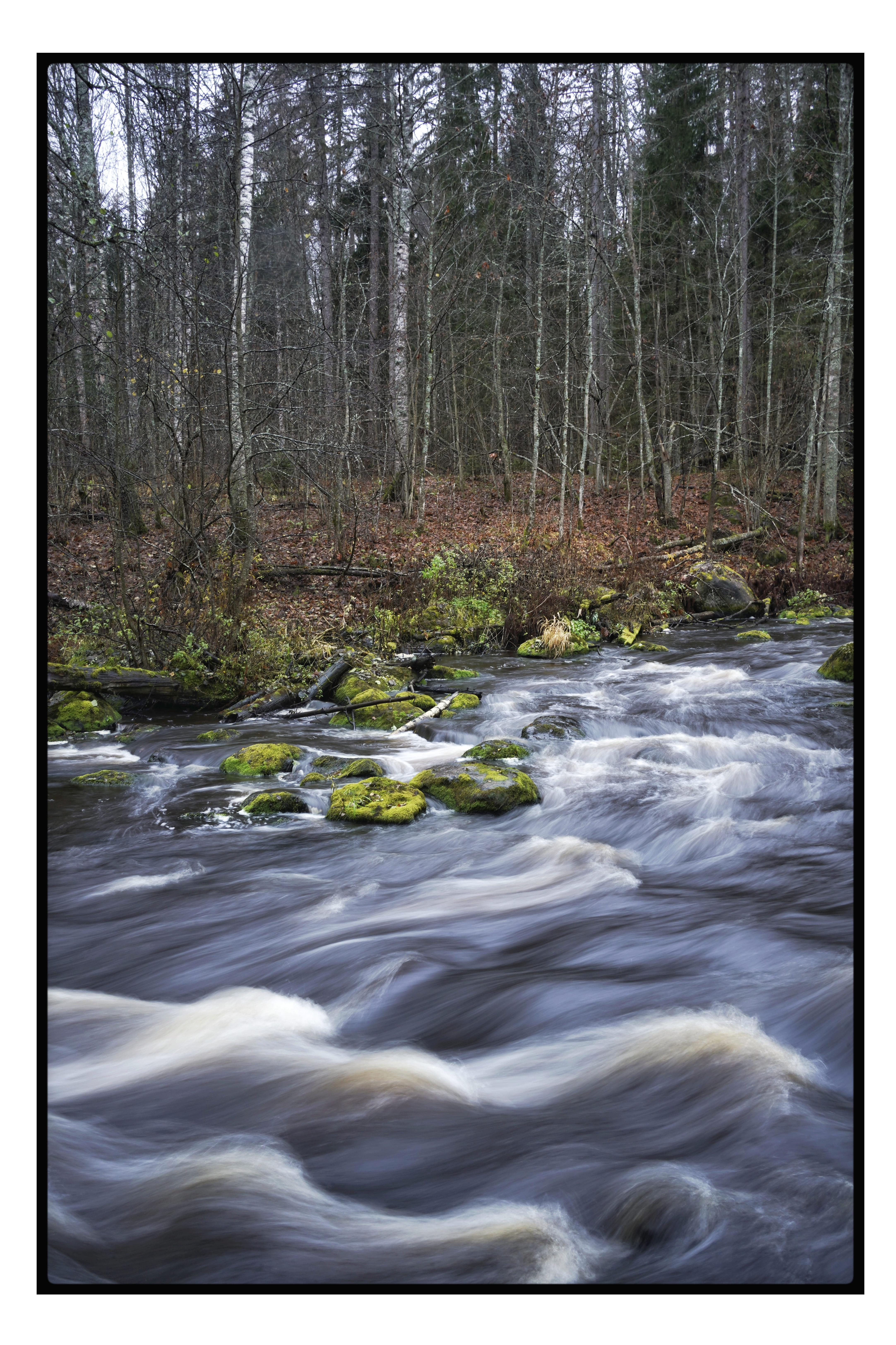 , Алёна Таланова