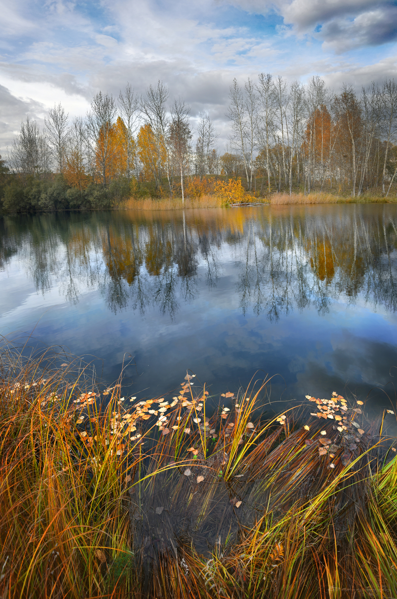 , Крат Светлана