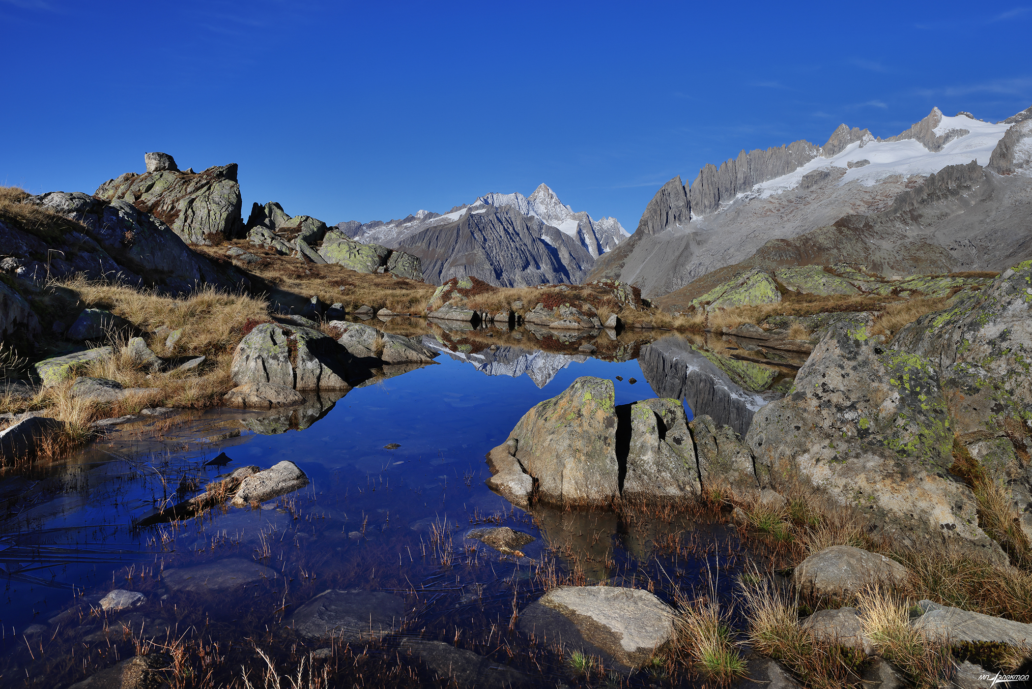 swiss, Матвеев Николай