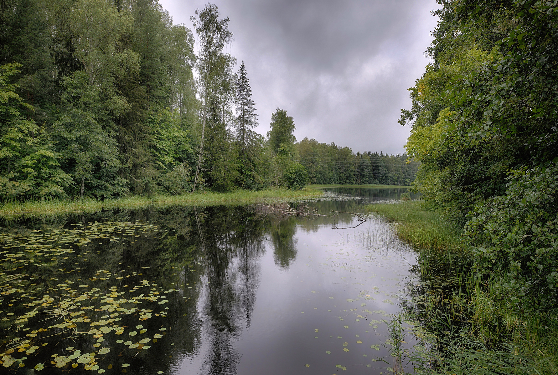 , Сергей Аникин