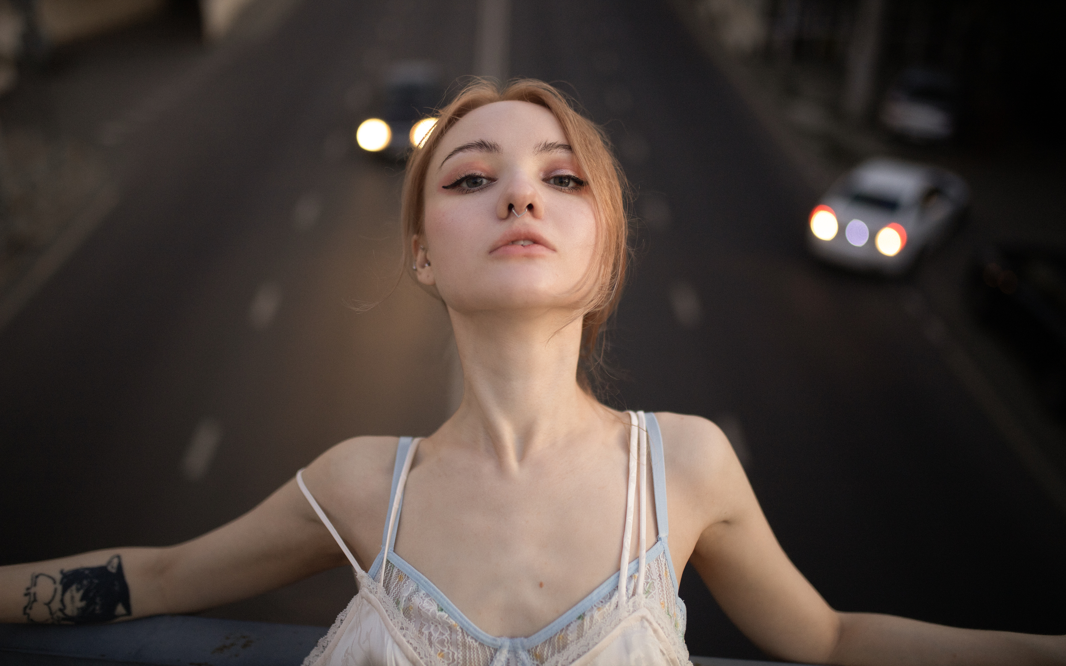 , Нестеренко Александр