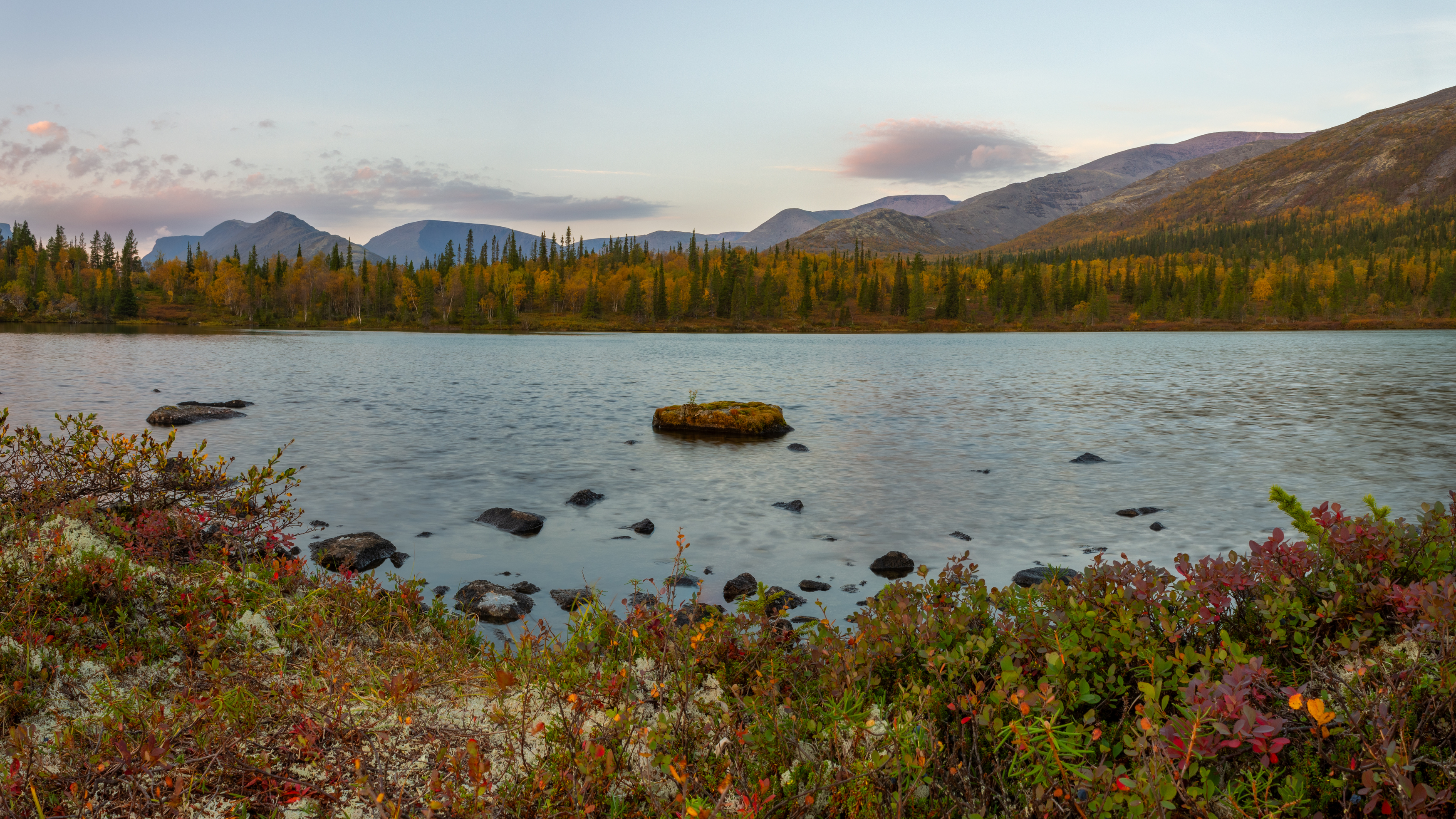 , Комарова Вера