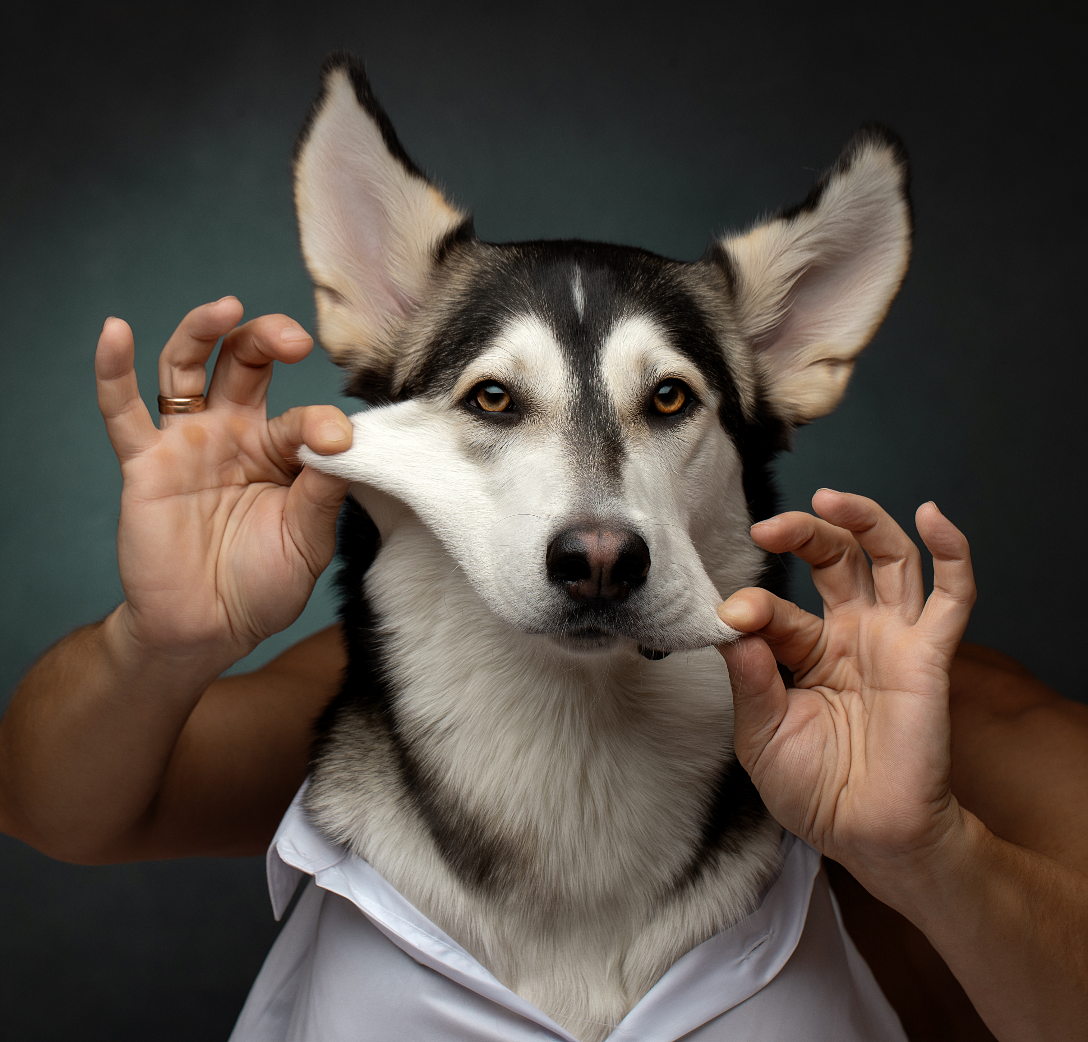 , Светлана Писарева