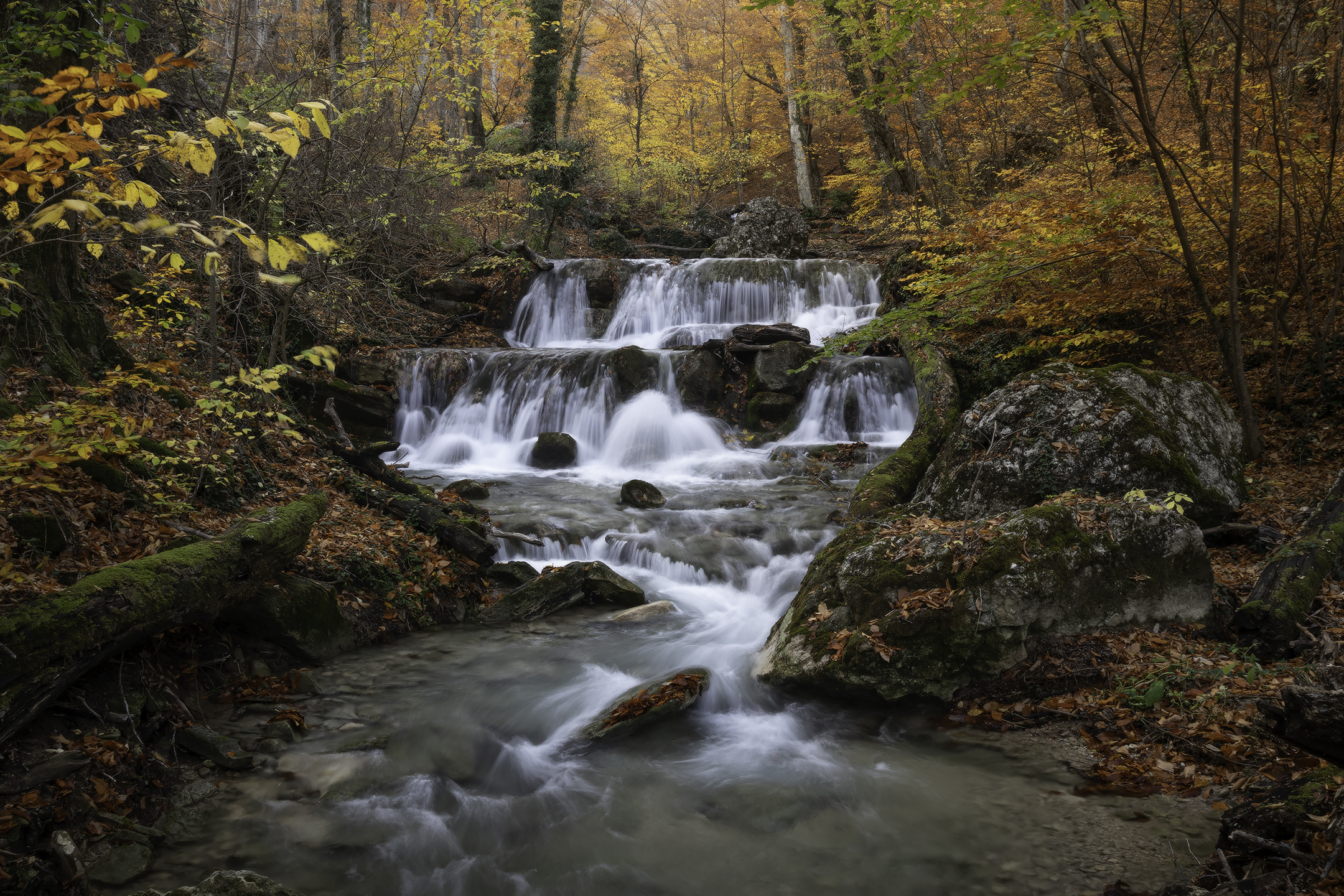 , Михаил Гапонов