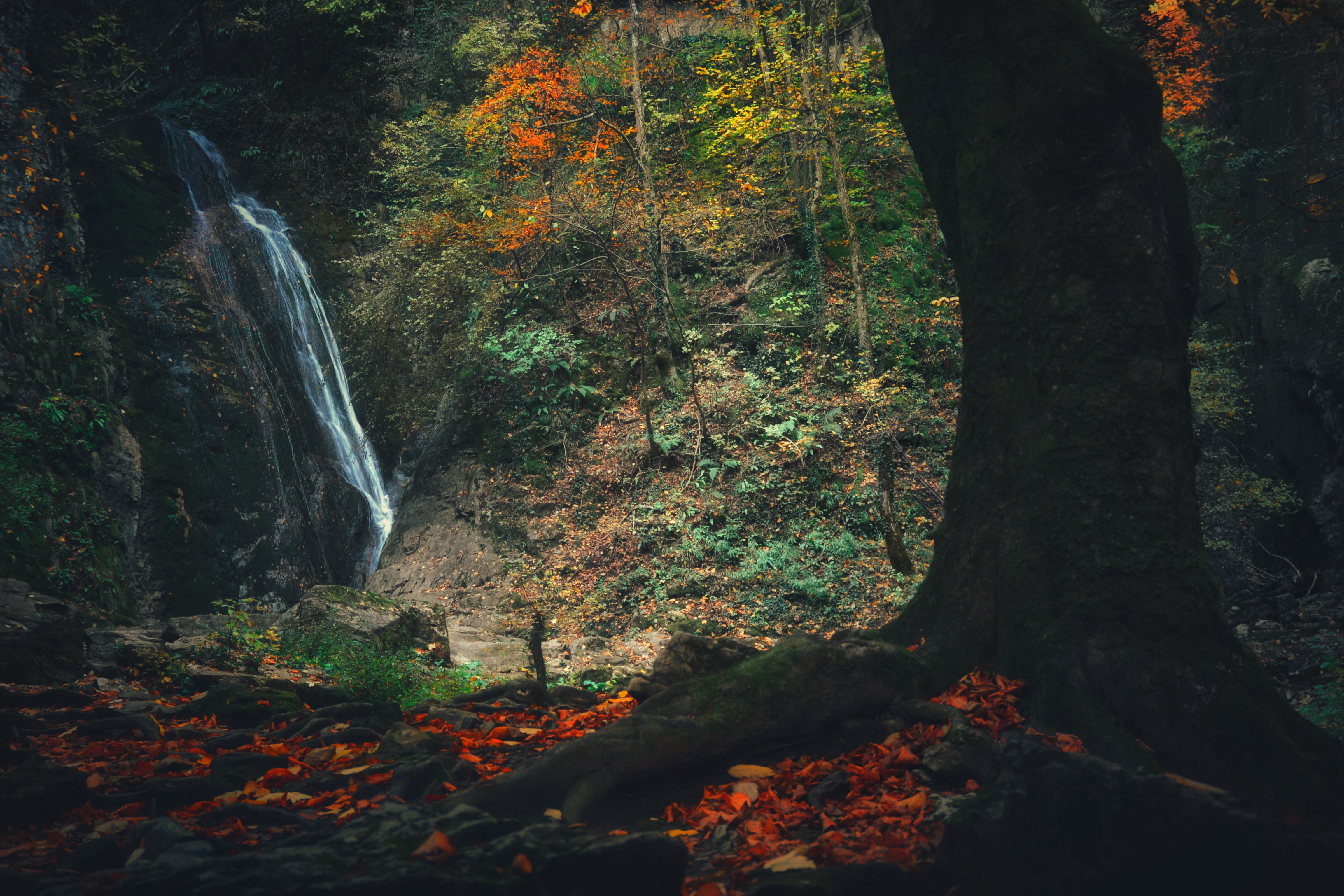 , Юлияна Стоянова