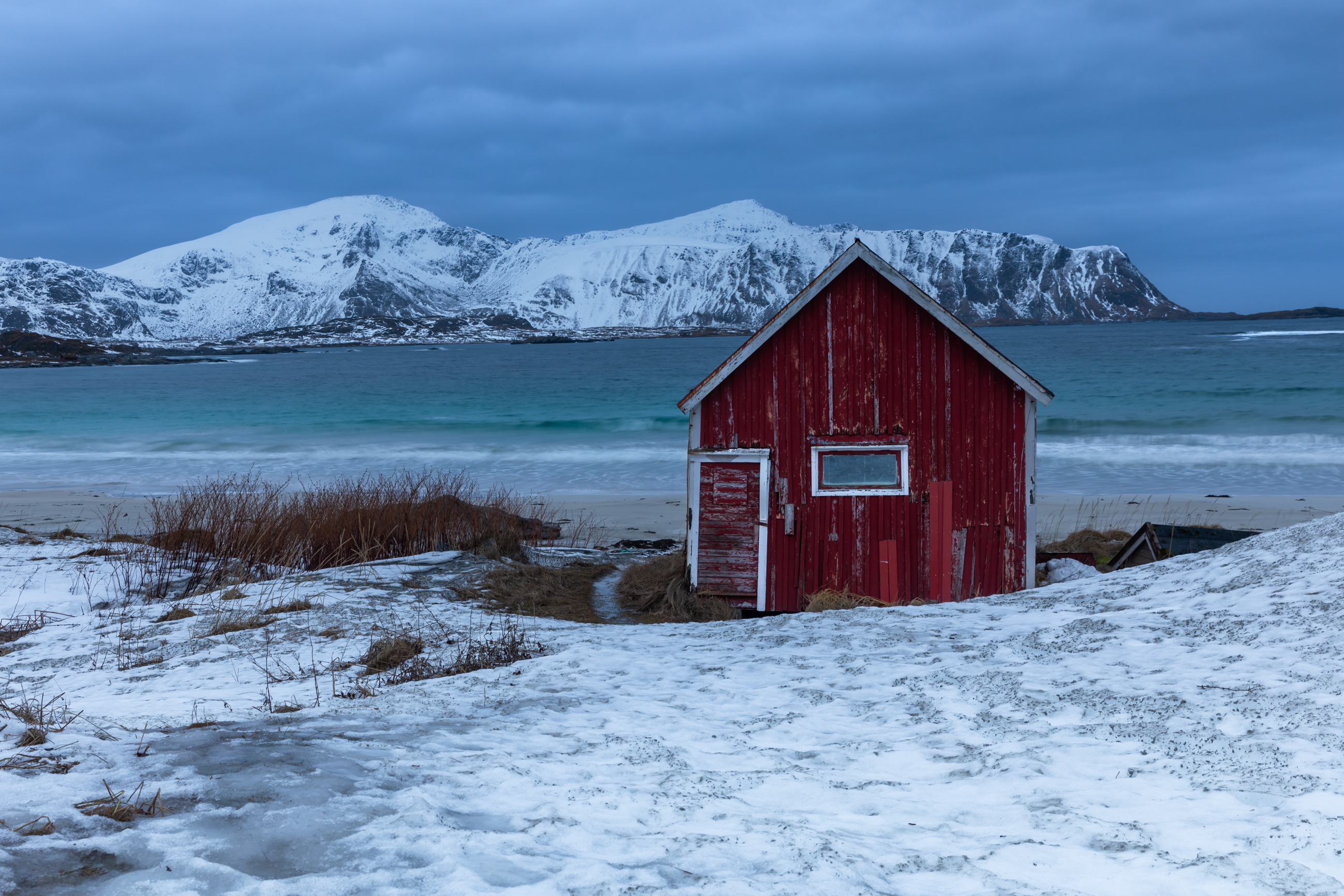 , Евгения Чех