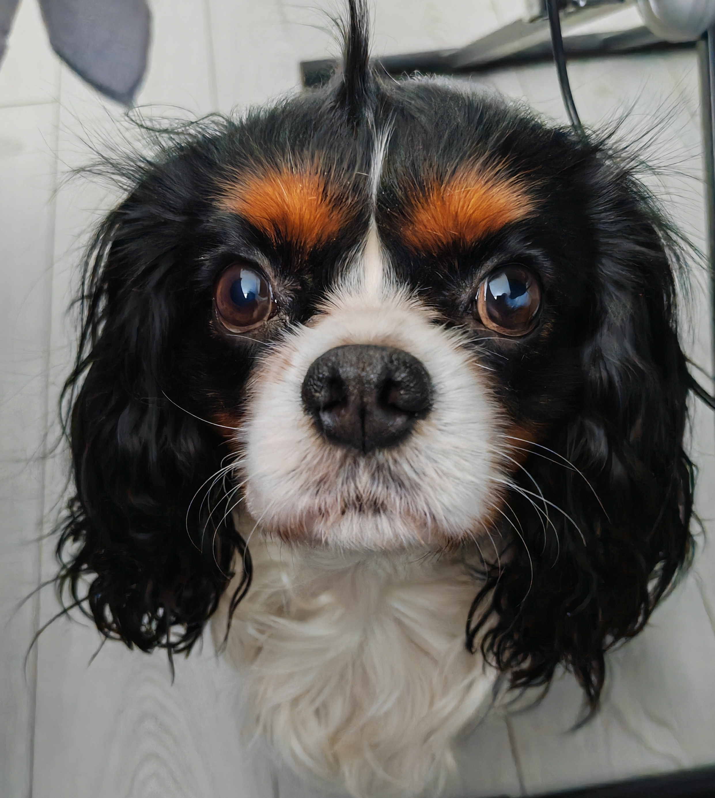 , Ольга Лукахина