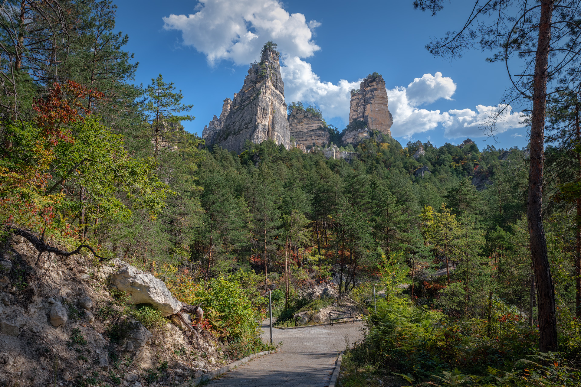 , Чиж Андрей