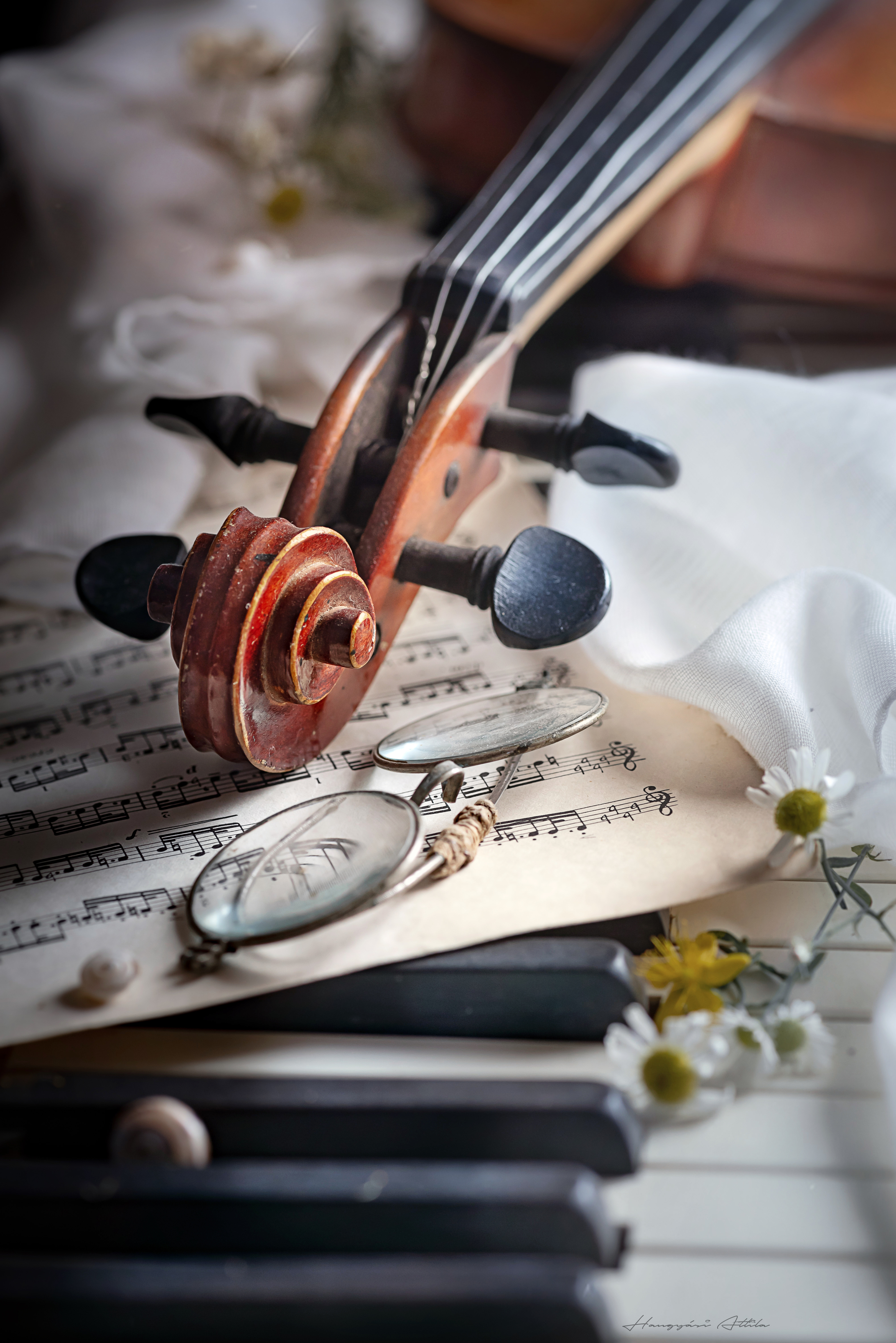 violin, still life, soft light, Hangyasi Attila